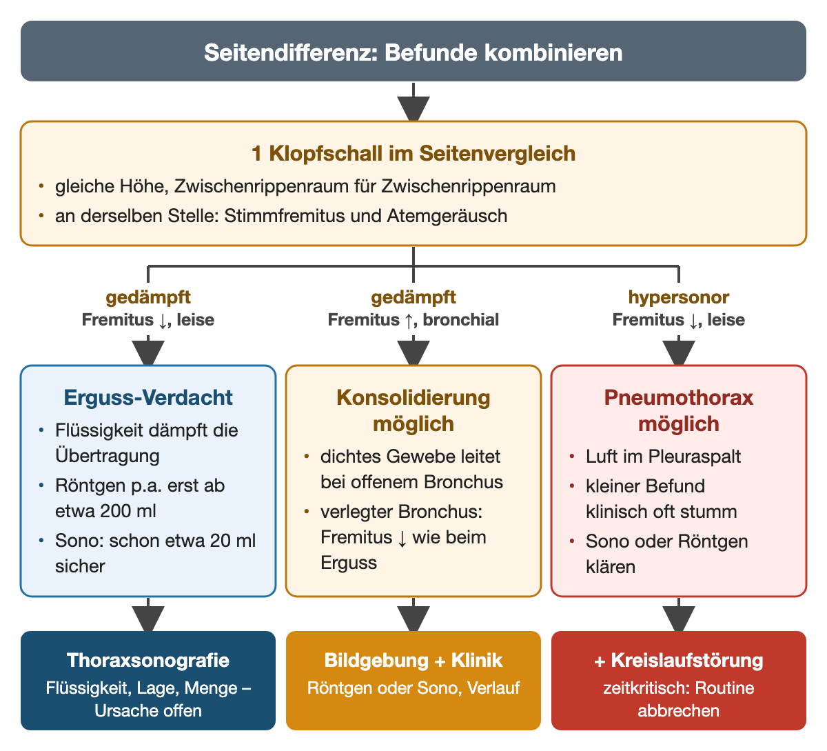 Vom Klopfschall im Seitenvergleich zu drei Befundkombinationen: gedämpft mit vermindertem Fremitus und leisem Atemgeräusch spricht für einen Erguss, im Röntgenbild p.a. erst ab etwa 200 ml, sonografisch schon ab etwa 20 ml erkennbar; gedämpft mit verstärktem Fremitus und bronchialem Atmen für eine Konsolidierung, bei verlegtem Bronchus aber Fremitus vermindert; hypersonor mit vermindertem Fremitus und leisem Atemgeräusch für einen Pneumothorax. Ergebniszeile: Thoraxsonografie, Bildgebung mit Klinik, bei Kreislaufstörung zeitkritisch Routine abbrechen.