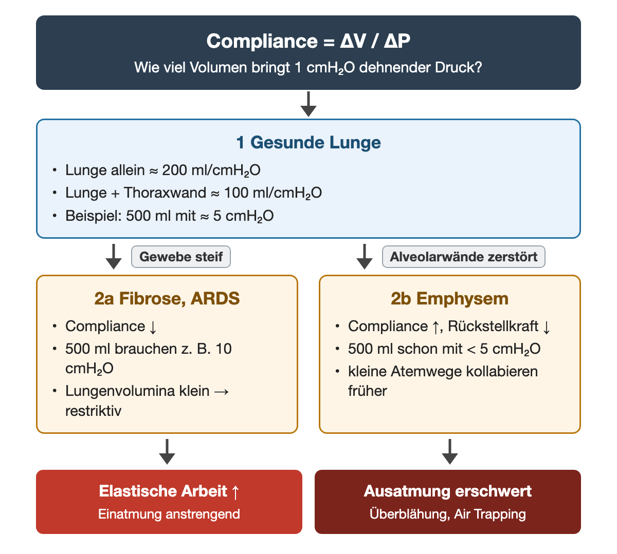 Compliance gleich Delta V durch Delta P: gesunde Lunge etwa 200, mit Thoraxwand etwa 100 ml pro cmH2O; Fibrose und ARDS mit verminderter Compliance und mehr elastischer Arbeit, Emphysem mit erhöhter Compliance, verminderter Rückstellkraft und erschwerter Ausatmung.