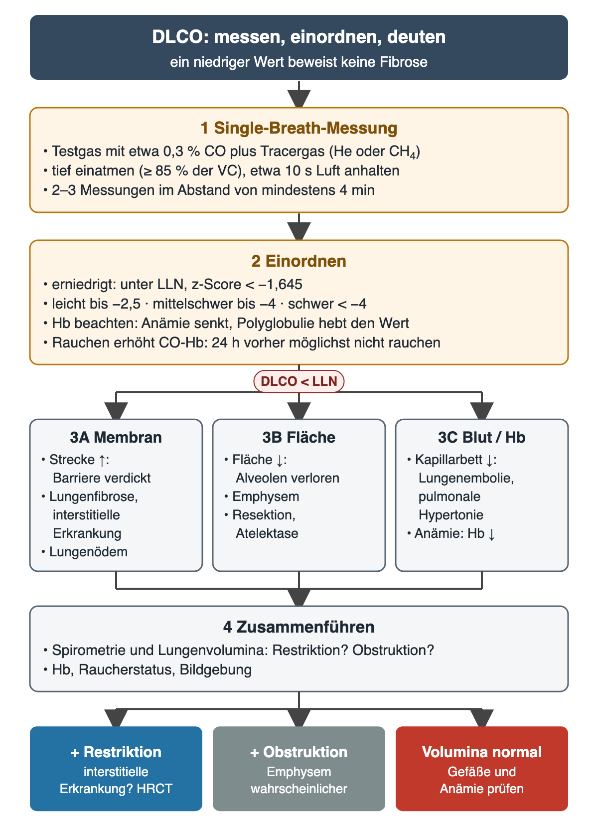 Flussdiagramm DLCO: Single-Breath-Messung mit etwa 0,3 Prozent CO, mindestens 85 Prozent der Vitalkapazität und etwa 10 Sekunden Atemanhalten; Einordnung unter LLN mit z-Score unter minus 1,645 und Schweregraden bis minus 2,5, bis minus 4 und darunter, Einfluss von Hämoglobin und Rauchen. Bei DLCO unter LLN drei Äste: Membran mit Fibrose und Ödem, Fläche mit Emphysem und Resektion, Blut mit Lungenembolie, pulmonaler Hypertonie und Anämie. Zusammenführen mit Spirometrie, Lungenvolumina, Hb und Bildgebung; Ergebnisreihe: Restriktion an interstitielle Erkrankung denken, Obstruktion eher Emphysem, normale Volumina Gefäße und Anämie prüfen.