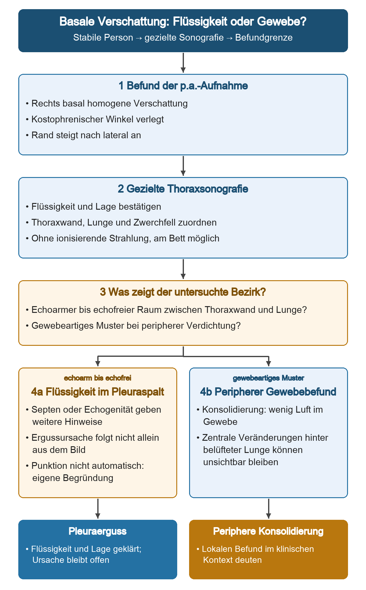 Bei einer stabilen Person mit basaler Verschattung, verlegtem kostophrenischem Winkel und lateral ansteigendem Rand klärt die gezielte Thoraxsonografie die lokale Flüssigkeitsfrage. Ein echoarmer bis echofreier Raum zwischen Thoraxwand und Lunge führt zum Ergussbefund; ein gewebeartiger peripherer Bezirk zum Konsolidierungsbefund. Ergussursache und Punktionsindikation folgen nicht automatisch, und zentrale Veränderungen können verborgen bleiben.