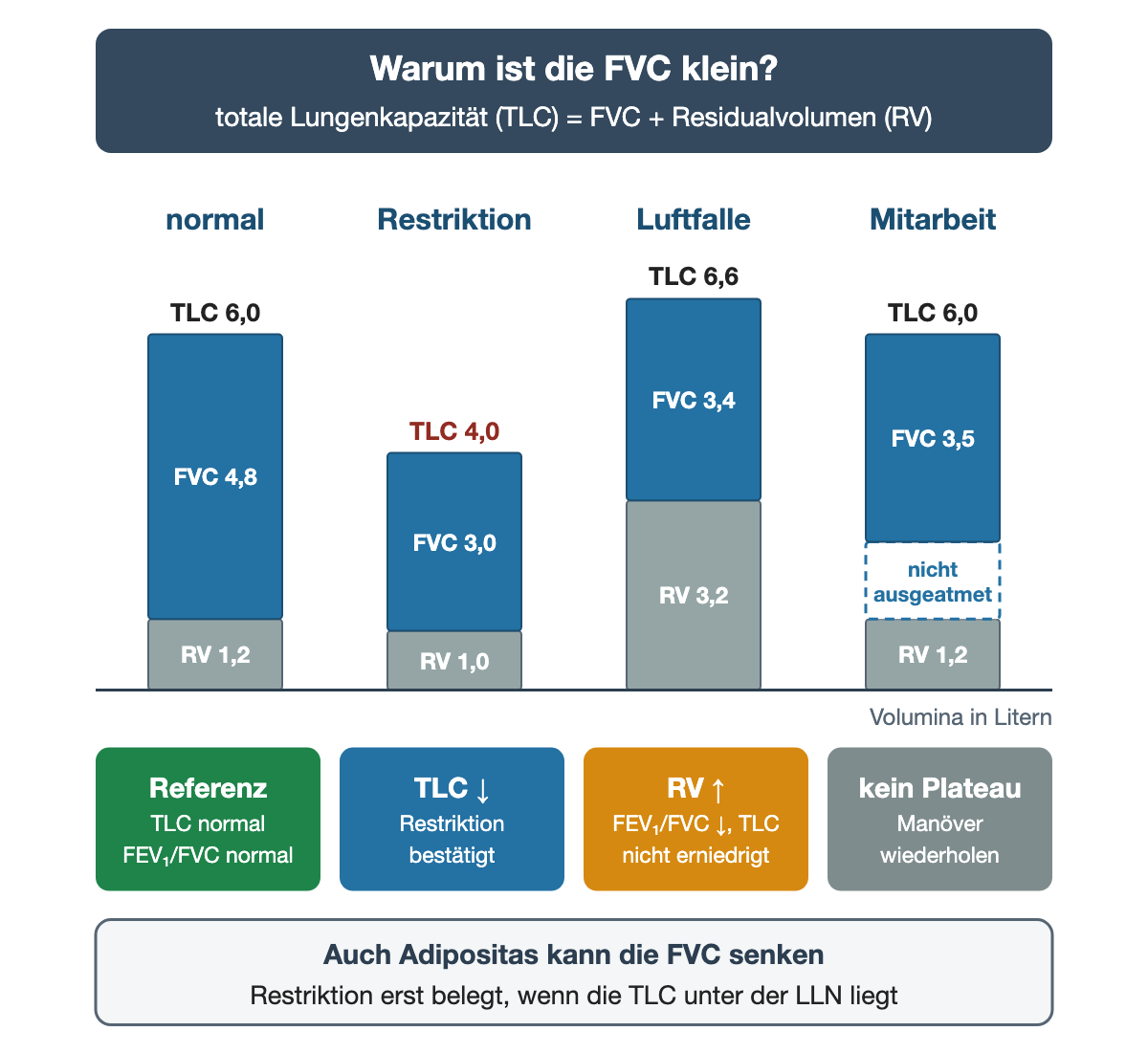 Vier gestapelte Säulen zeigen die totale Lungenkapazität als Summe aus FVC und Residualvolumen, in Litern. Normal: FVC 4,8 plus RV 1,2 ergibt TLC 6,0. Restriktion: FVC 3,0 plus RV 1,0 ergibt erniedrigte TLC 4,0. Luftfalle: FVC 3,4 plus vergrößertes RV 3,2 ergibt TLC 6,6. Mitarbeit: gemessene FVC 3,5, darunter 1,3 nicht ausgeatmet, plus RV 1,2 ergibt TLC 6,0. Ergebniszeile: Referenz mit normaler TLC und normalem Verhältnis; TLC erniedrigt, Restriktion bestätigt; RV erhöht mit erniedrigtem FEV₁/FVC und nicht erniedrigter TLC; kein Plateau, Manöver wiederholen. Hinweis: Auch Adipositas kann die FVC senken; Restriktion ist erst belegt, wenn die TLC unter der LLN liegt.