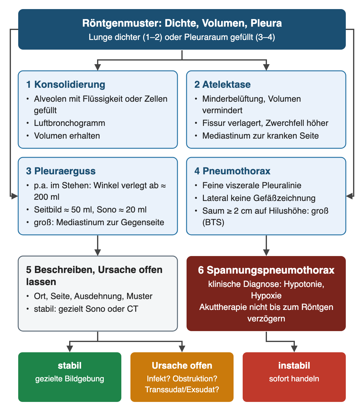 Vier Röntgenmuster mit Kennzeichen und Zahlen: Konsolidierung mit Luftbronchogramm, Atelektase mit Volumenverlust, Pleuraerguss ab etwa 200 ml in p.a., 50 ml seitlich und 20 ml sonografisch, Pneumothorax mit Saum ab 2 cm als groß. Danach beschreiben und Ursache offen lassen oder bei Spannungspneumothorax sofort handeln.