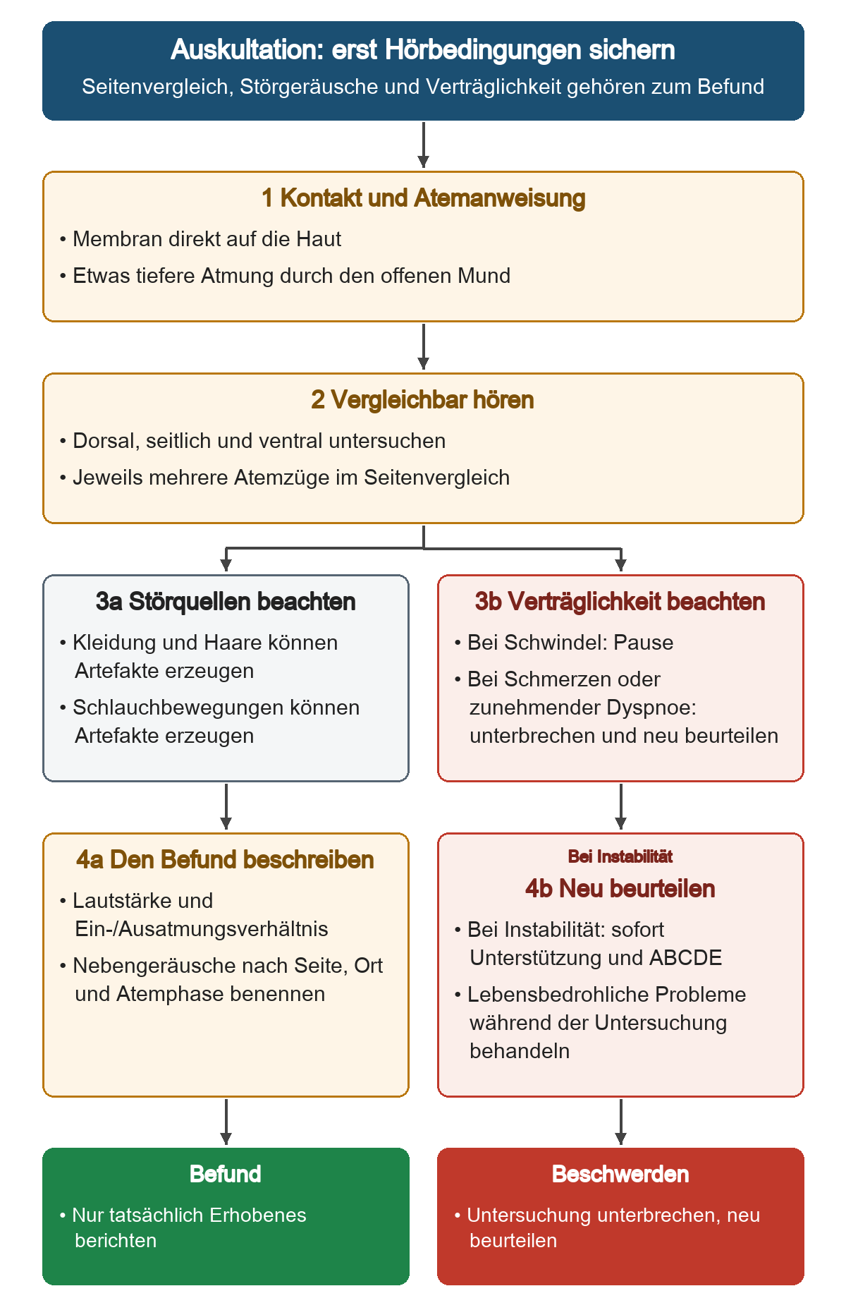 Von direktem Hautkontakt und Atemanweisung führt der Ablauf zum Seitenvergleich. Danach werden Artefaktquellen und Beschwerden während der Untersuchung nebeneinandergestellt. Lautstärke, Atemphasen und Nebengeräusche bilden die Beschreibung; Beschwerden verlangen Unterbrechung und Neubeurteilung.
