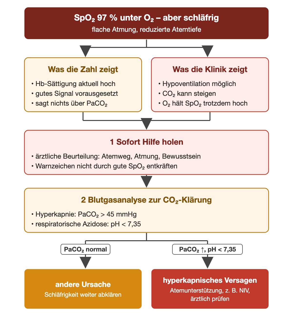 Fallbezogenes Flussdiagramm: SpO₂ 97 Prozent unter Sauerstoff, aber schläfrig, flache Atmung, reduzierte Atemtiefe. Links was die Zahl zeigt: aktuell hohe Hb-Sättigung, gutes Signal vorausgesetzt, sagt nichts über PaCO₂. Rechts was die Klinik zeigt: Hypoventilation möglich, CO₂ kann steigen, Sauerstoff hält SpO₂ trotzdem hoch. 1 Sofort Hilfe holen: ärztliche Beurteilung von Atemweg, Atmung, Bewusstsein; Warnzeichen nicht durch gute SpO₂ entkräften. 2 Blutgasanalyse zur CO₂-Klärung: Hyperkapnie bei PaCO₂ über 45 mmHg, respiratorische Azidose bei pH unter 7,35. Ast PaCO₂ normal: andere Ursache, Schläfrigkeit weiter abklären. Ast PaCO₂ erhöht und pH unter 7,35: hyperkapnisches Versagen, Atemunterstützung wie nichtinvasive Beatmung ärztlich prüfen.
