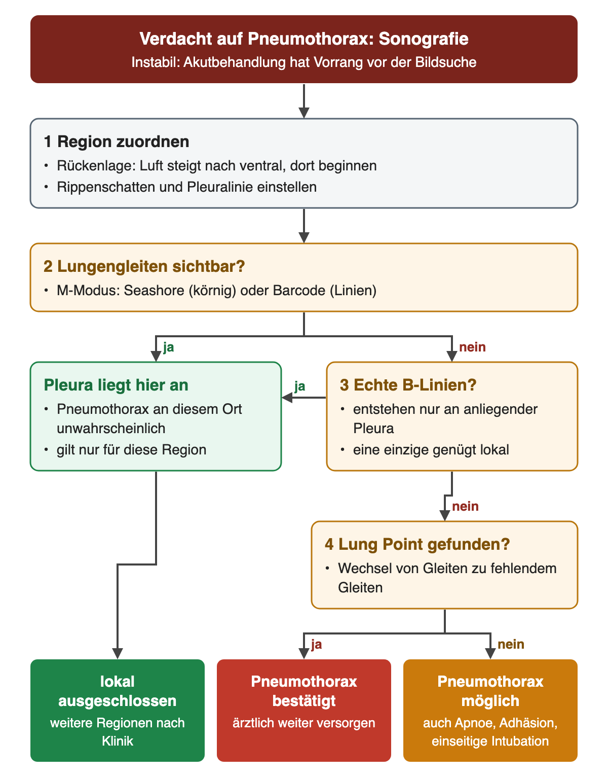 Sonografischer Ablauf bei Pneumothoraxverdacht: Region zuordnen, in Rückenlage ventral beginnen; Lungengleiten ja bedeutet anliegende Pleura; nein führt zur Frage nach echten B-Linien und danach nach einem Lung Point. Ergebnisse: lokal ausgeschlossen, Pneumothorax bestätigt oder Pneumothorax möglich, auch bei Apnoe, Adhäsion oder einseitiger Intubation.