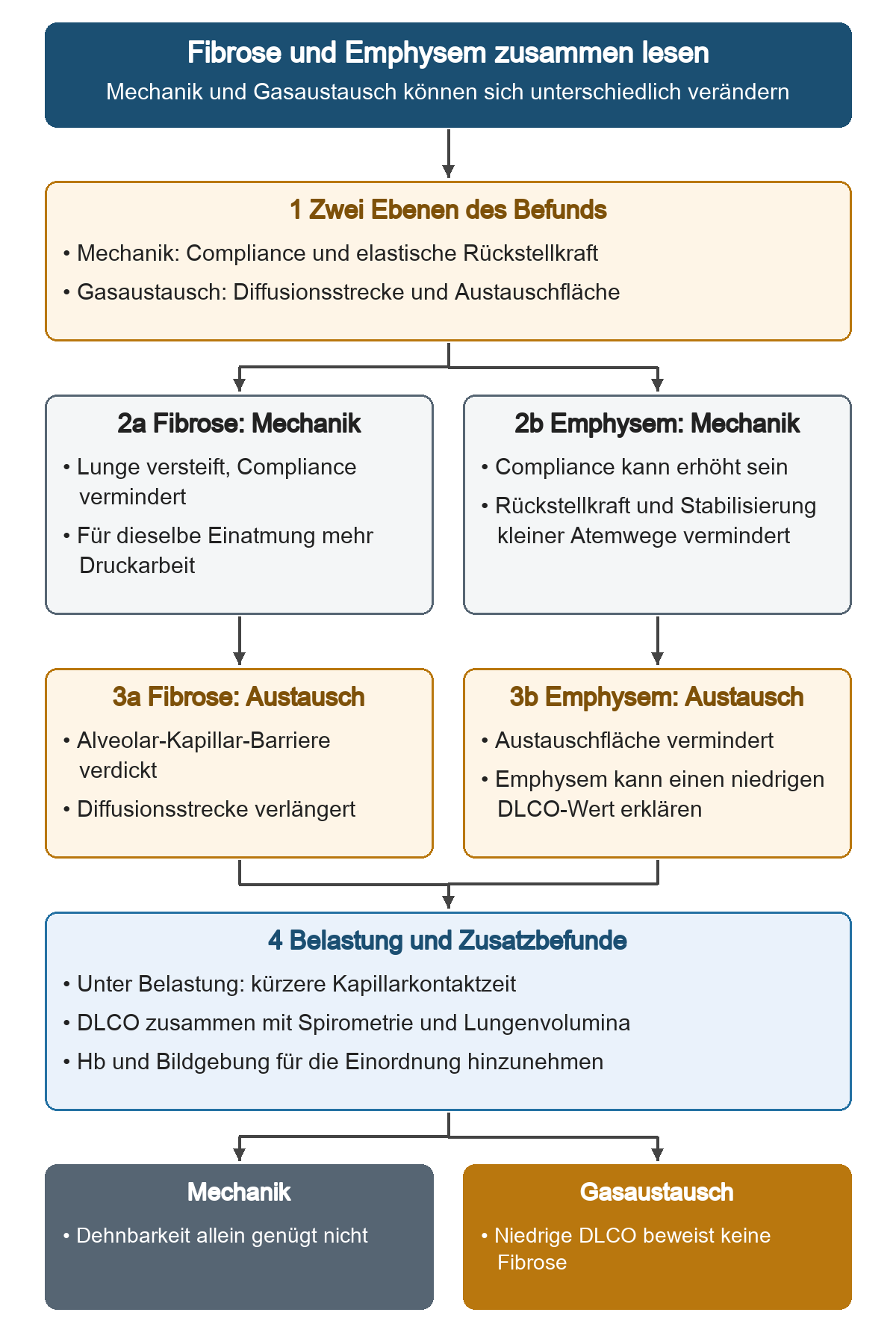 Zwei parallele Wege vergleichen Fibrose und Emphysem zuerst mechanisch und dann beim Gasaustausch. Die Fibrose versteift die Lunge und verlängert die Diffusionsstrecke; beim Emphysem können Dehnbarkeit und Fläche in entgegengesetzte Richtungen gehen. Belastung, DLCO, Lungenvolumina, Hb und Bildgebung ergänzen den Befund.