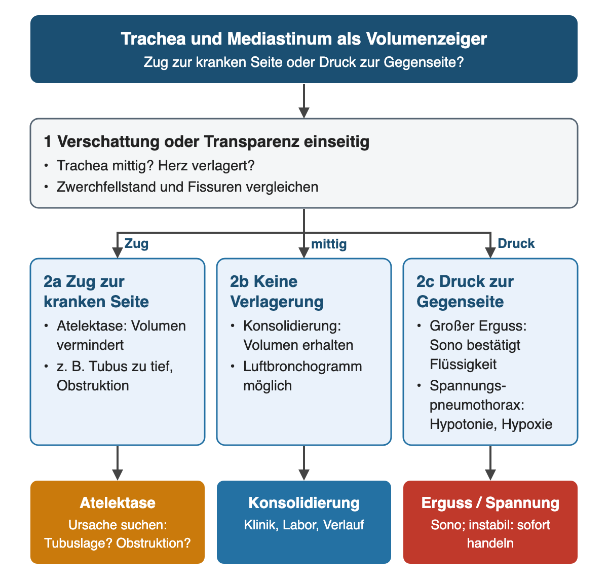 Trachea und Mediastinum als Volumenzeiger: Zug zur kranken Seite bei Atelektase, keine Verlagerung bei Konsolidierung, Druck zur Gegenseite bei großem Erguss oder Spannungspneumothorax; daraus folgen Ursachensuche, klinische Einordnung oder sofortiges Handeln.