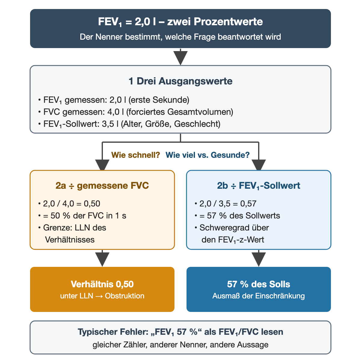 Aus den Ausgangswerten FEV₁ 2,0 Liter, FVC 4,0 Liter und FEV₁-Sollwert 3,5 Liter zweigen zwei Rechnungen ab. Links, Frage „Wie schnell?“: 2,0 geteilt durch die gemessene FVC 4,0 ergibt 0,50, also 50 Prozent der FVC in 1 Sekunde, beurteilt an der LLN des Verhältnisses. Rechts, Frage „Wie viel im Vergleich zu Gesunden?“: 2,0 geteilt durch den Sollwert 3,5 ergibt 57 Prozent des Sollwerts, deren Schweregrad über den FEV₁-z-Wert eingeordnet wird. Ergebniszeile: Verhältnis 0,50 unter LLN bedeutet Obstruktion; 57 Prozent des Solls beschreiben das Ausmaß. Hinweis unten: „FEV₁ 57 %“ nicht als FEV₁/FVC lesen.