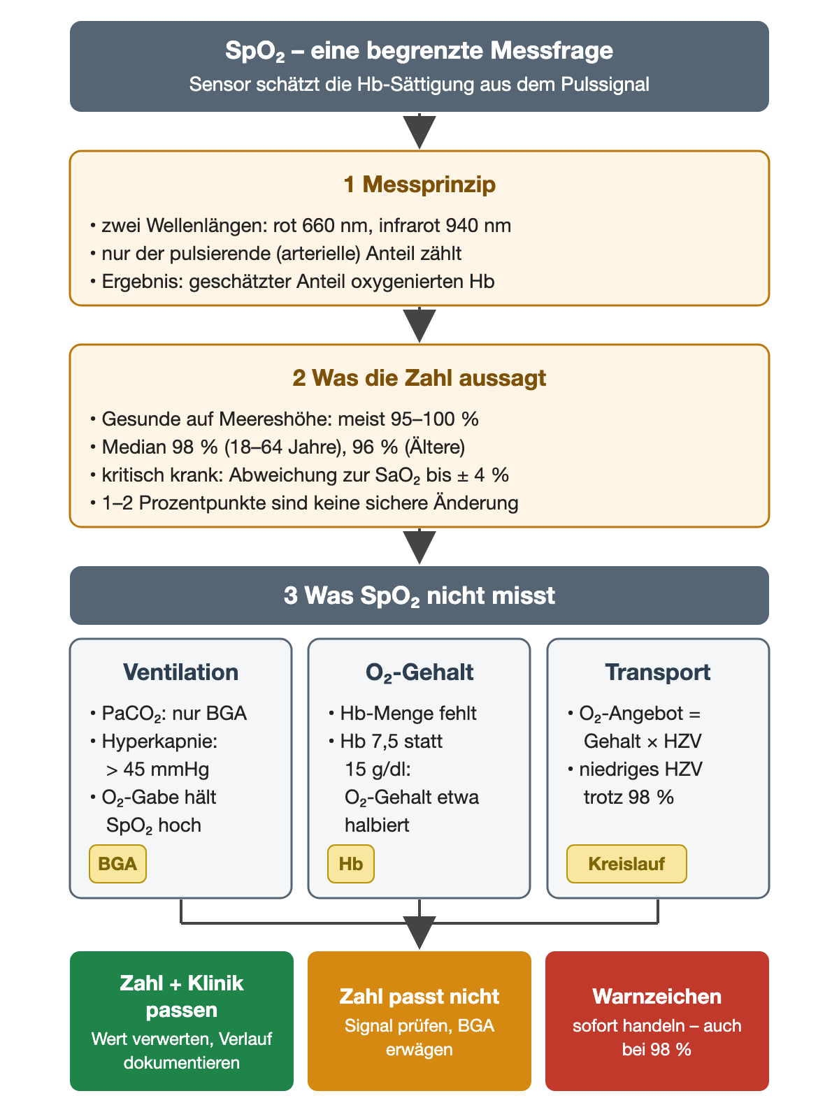 Flussdiagramm in drei Schritten. 1 Messprinzip: zwei Wellenlängen, rot 660 nm und infrarot 940 nm; nur der pulsierende arterielle Anteil zählt; Ergebnis ist der geschätzte Anteil oxygenierten Hämoglobins. 2 Was die Zahl aussagt: Gesunde auf Meereshöhe meist 95 bis 100 Prozent, Median 98 Prozent bei 18 bis 64 Jahren und 96 Prozent bei Älteren, bei kritisch Kranken Abweichung zur arteriellen Sättigung bis plus minus 4 Prozent, 1 bis 2 Prozentpunkte sind keine sichere Änderung. 3 Was SpO₂ nicht misst, in drei Kästen: Ventilation (PaCO₂ nur per Blutgasanalyse, Hyperkapnie über 45 mmHg, Sauerstoffgabe hält SpO₂ hoch), Sauerstoffgehalt (Hb-Menge fehlt; Hb 7,5 statt 15 g/dl halbiert etwa den Sauerstoffgehalt) und Transport (Sauerstoffangebot gleich Gehalt mal Herzzeitvolumen; niedriges Herzzeitvolumen trotz 98 Prozent). Ergebniszeile: Zahl und Klinik passen, Wert verwerten; Zahl passt nicht, Signal prüfen und Blutgasanalyse erwägen; Warnzeichen, sofort handeln auch bei 98 Prozent.