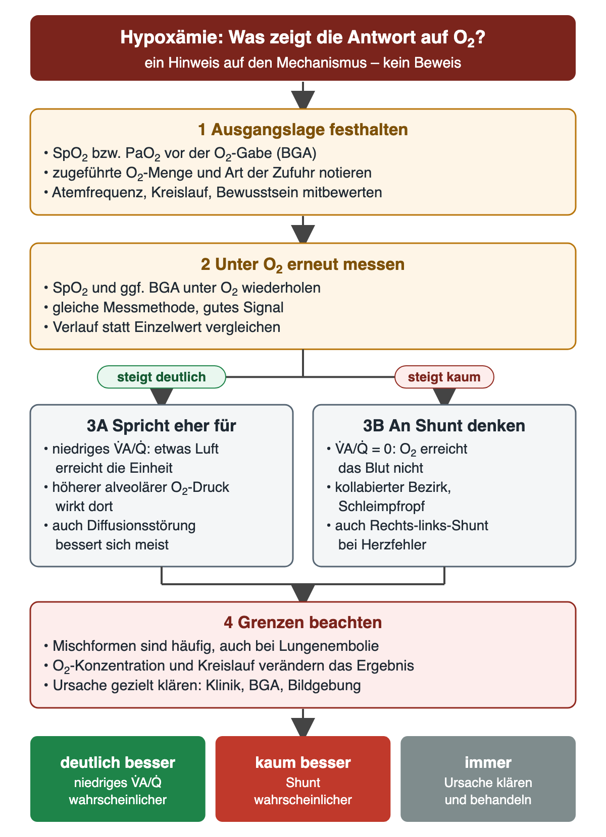 Flussdiagramm zur Sauerstoffantwort bei Hypoxämie: Ausgangslage mit SpO₂ oder PaO₂, O₂-Menge, Atemfrequenz und Kreislauf festhalten; unter Sauerstoff erneut messen. Steigt die Sättigung deutlich, spricht das eher für niedriges Ventilations-Perfusions-Verhältnis, auch eine Diffusionsstörung bessert sich meist. Steigt sie kaum, an Shunt denken: kollabierter Bezirk, Schleimpfropf oder Rechts-links-Shunt bei Herzfehler. Grenzen: Mischformen, O₂-Konzentration und Kreislauf. Ergebnisreihe: deutlich besser, kaum besser, immer Ursache klären und behandeln.