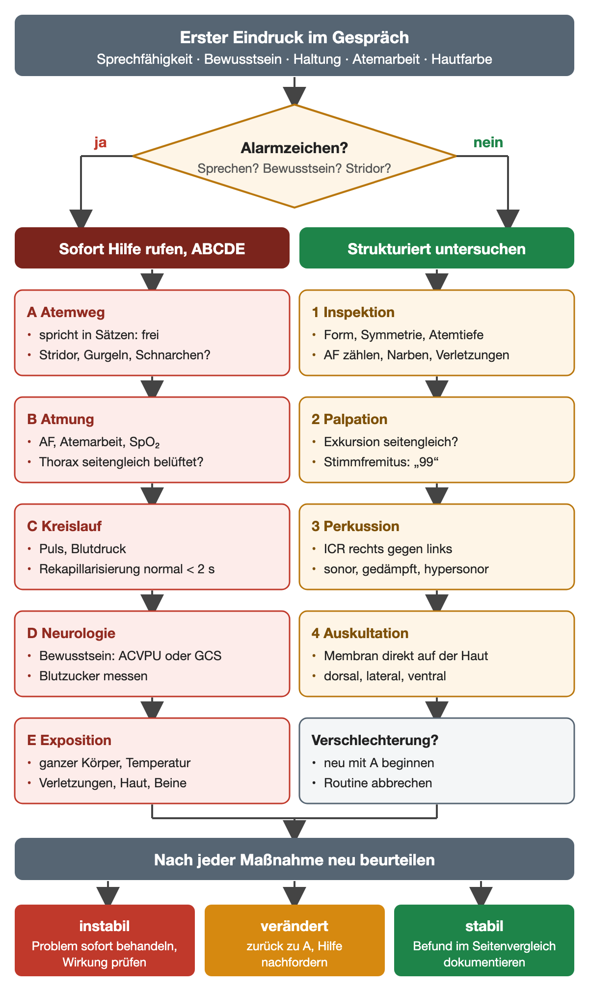 Entscheidungsweg vom ersten Eindruck: Bei Alarmzeichen sofort Hilfe und ABCDE – A Atemweg, B Atmung mit Atemfrequenz, Atemarbeit und SpO₂, C Kreislauf mit Rekapillarisierung normal unter 2 Sekunden, D Neurologie mit ACVPU oder GCS und Blutzucker, E Exposition; ohne Alarmzeichen strukturierte Untersuchung mit Inspektion, Palpation, Perkussion und Auskultation, bei Verschlechterung neu mit A beginnen. Nach jeder Maßnahme Neubeurteilung mit den Ergebnissen instabil, verändert oder stabil.