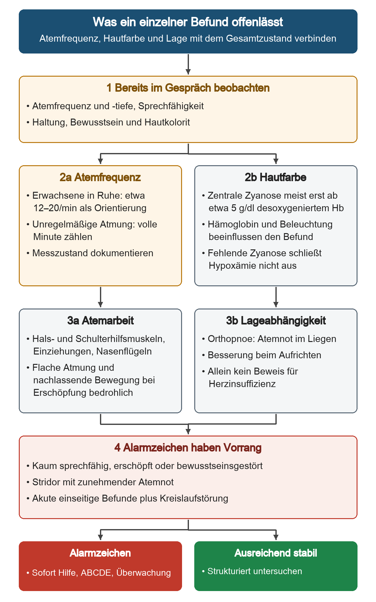 Von der Beobachtung im Gespräch führen zwei Befundpaare zu Atemfrequenz und Hautfarbe sowie zu Atemarbeit und Lageabhängigkeit. Die Grenzen einzelner Zeichen werden anschließend mit konkreten Alarmzeichen zusammengeführt. Unten stehen sofortige Hilfe bei Alarmzeichen und strukturierte Untersuchung bei ausreichender Stabilität.