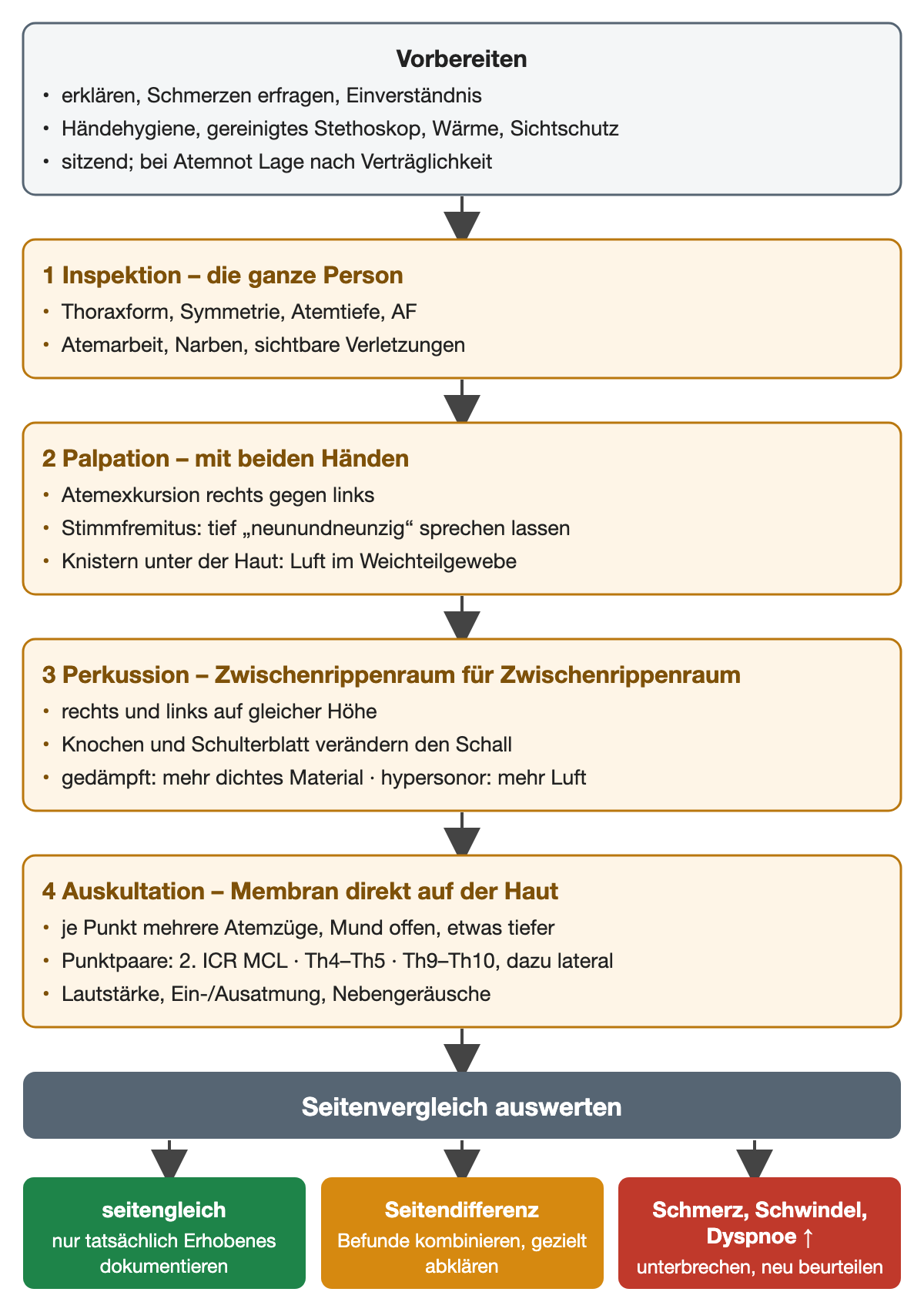 Vorbereitung und vier Untersuchungsschritte: Inspektion von Thoraxform, Symmetrie, Atemtiefe und Atemarbeit; Palpation der Exkursion und des Stimmfremitus bei „neunundneunzig“; Perkussion rechts gegen links auf gleicher Höhe; Auskultation mit der Membran auf der Haut an Punktpaaren im 2. Interkostalraum medioklavikulär, in Höhe Th4–Th5 und Th9–Th10, dazu lateral. Ergebniszeile: seitengleich, Seitendifferenz, Unterbrechung bei Schmerz, Schwindel oder zunehmender Dyspnoe.