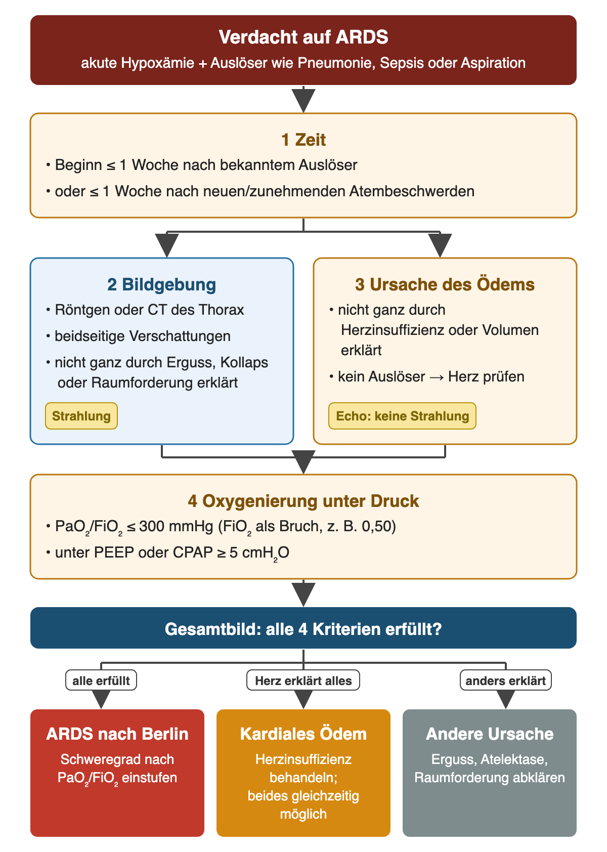 Von oben nach unten: Verdacht auf ARDS, dann 1 Zeit mit Beginn innerhalb einer Woche, daneben 2 Bildgebung mit beidseitigen Verschattungen und 3 Ursache des Ödems, nicht ganz kardial erklärt, dann 4 Oxygenierung mit PaO₂/FiO₂ höchstens 300 mmHg unter PEEP oder CPAP ab 5 cmH₂O. Im Gesamtbild verzweigt der Weg zu ARDS nach Berlin, zu kardialem Ödem (beides gleichzeitig möglich) oder zu einer anderen Ursache wie Erguss, Atelektase oder Raumforderung.