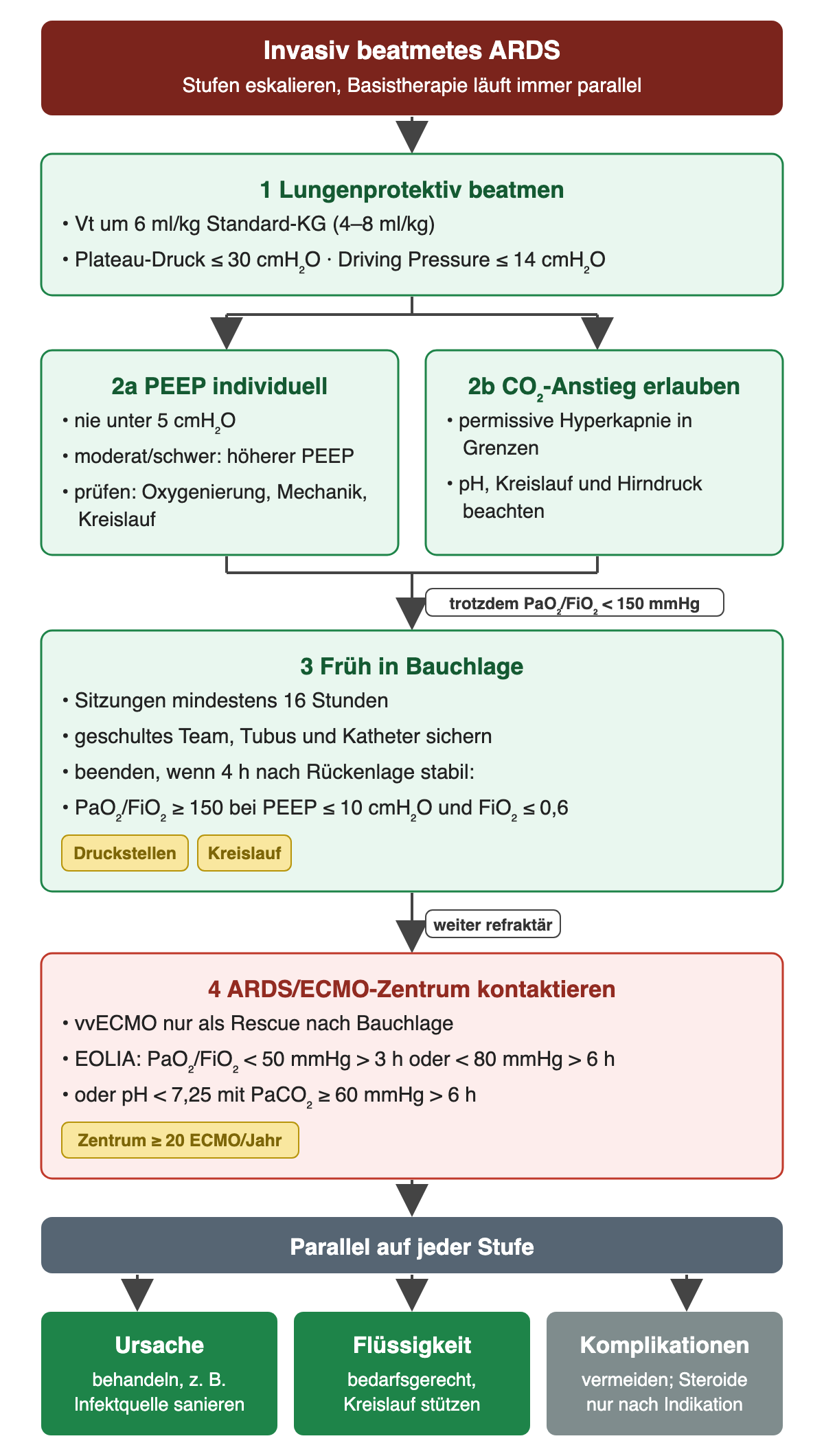 Eskalationsstufen bei invasiv beatmetem ARDS von oben nach unten: 1 lungenprotektiv beatmen mit etwa 6 ml/kg, Plateau-Druck bis 30 und Driving Pressure bis 14 cmH₂O; 2a PEEP nie unter 5 cmH₂O, bei moderatem oder schwerem ARDS höher und individuell, daneben 2b permissive Hyperkapnie in Grenzen. Bleibt PaO₂/FiO₂ unter 150 mmHg, folgt 3 frühe Bauchlage über mindestens 16 Stunden mit Abbruchkriterium PaO₂/FiO₂ ab 150 bei PEEP bis 10 und FiO₂ bis 0,6 vier Stunden nach Rückenlage. Weiter refraktär: 4 ARDS/ECMO-Zentrum kontaktieren, EOLIA-Kriterien. Parallel auf jeder Stufe: Ursache behandeln, Flüssigkeit bedarfsgerecht, Komplikationen vermeiden, Steroide nur nach Indikation.