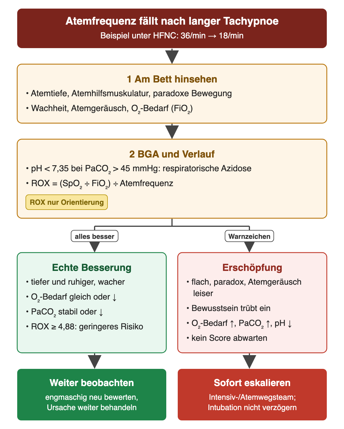 Ausgangspunkt: Atemfrequenz fällt unter HFNC von 36 auf 18 pro Minute. 1 Am Bett Atemtiefe, Atemhilfsmuskulatur, paradoxe Bewegung, Wachheit, Atemgeräusch und Sauerstoffbedarf prüfen; 2 BGA mit respiratorischer Azidose bei pH unter 7,35 und PaCO₂ über 45 mmHg sowie ROX-Index. Links echte Besserung mit ROX ab 4,88 und weiter beobachten, rechts Erschöpfung mit flacher Atmung, Bewusstseinstrübung, steigendem PaCO₂ und fallendem pH: sofort eskalieren, Intubation nicht verzögern.