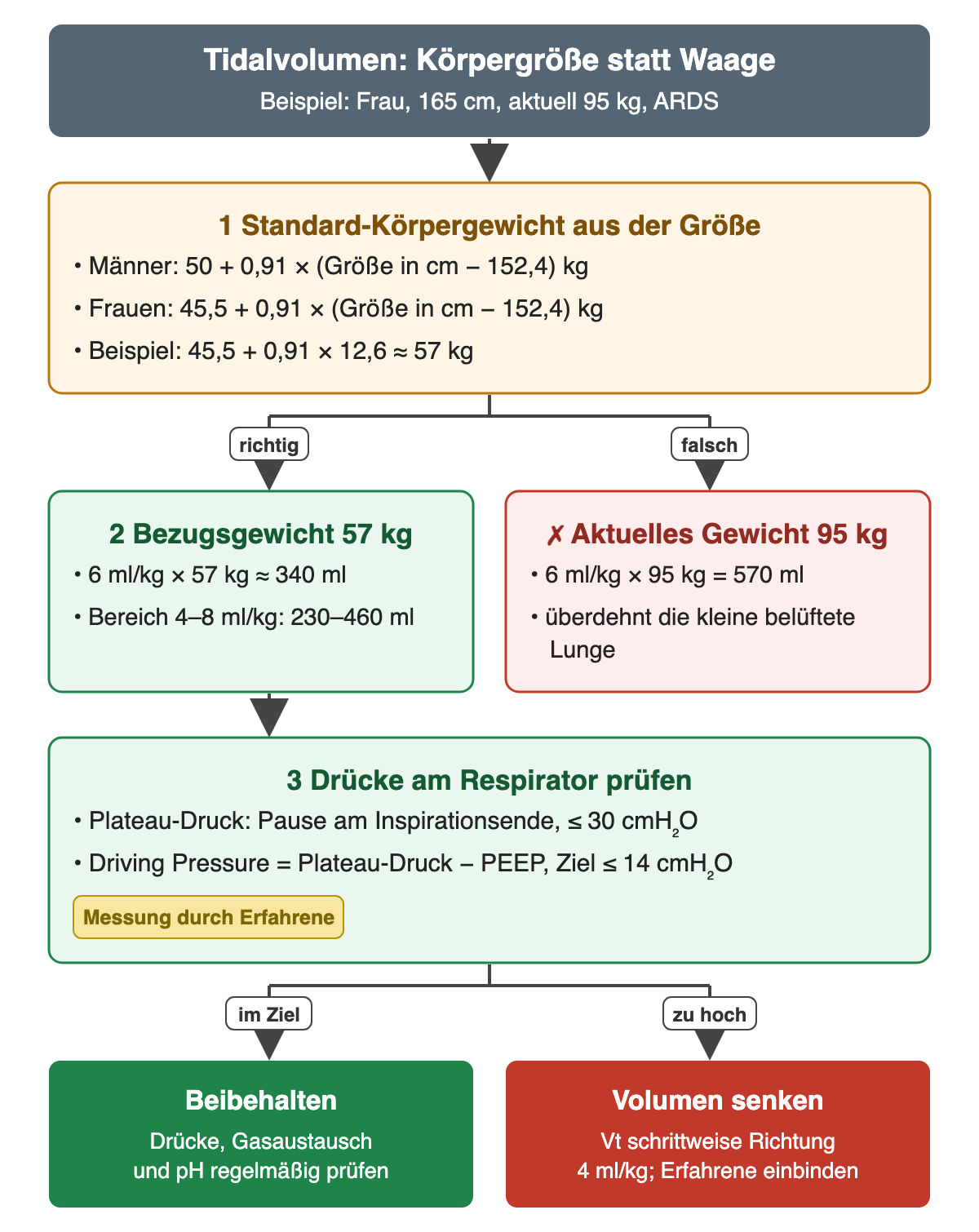 Beispiel einer 165 cm großen Frau mit aktuell 95 kg: Das Standard-Körpergewicht nach der Formel 45,5 plus 0,91 mal 12,6 beträgt etwa 57 kg. Richtig sind damit etwa 340 ml bei 6 ml/kg, Bereich 230 bis 460 ml; falsch wären 570 ml nach dem aktuellen Gewicht, die die kleine belüftete Lunge überdehnen. Danach werden Plateau-Druck bis 30 cmH₂O und Driving Pressure bis 14 cmH₂O geprüft: im Ziel beibehalten, zu hoch das Volumen schrittweise Richtung 4 ml/kg senken.