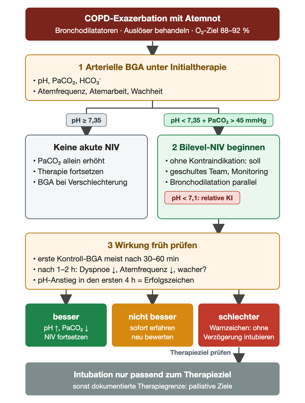 Ablauf von oben nach unten: COPD-Exazerbation mit Atemnot unter Bronchodilatatoren, Behandlung des Auslösers und O₂-Ziel 88 bis 92 Prozent. Schritt 1 arterielle BGA mit pH, PaCO₂ und HCO₃⁻ sowie Atemfrequenz, Atemarbeit und Wachheit. Verzweigung: bei pH ab 7,35 keine akute NIV, Therapie fortsetzen, BGA bei Verschlechterung; bei pH unter 7,35 und PaCO₂ über 45 mmHg Schritt 2 Bilevel-NIV beginnen, ohne Kontraindikation soll sie eingesetzt werden, geschultes Team und Monitoring, Bronchodilatation parallel, roter Hinweis pH unter 7,1 relative Kontraindikation. Schritt 3 Wirkung früh prüfen: erste Kontroll-BGA nach 30 bis 60 Minuten, nach 1 bis 2 Stunden weniger Dyspnoe und Atemfrequenz, pH-Anstieg in den ersten 4 Stunden als Erfolgszeichen. Ergebnisfelder: besser mit pH-Anstieg und PaCO₂-Abfall, NIV fortsetzen; nicht besser, sofort erfahren neu bewerten; schlechter mit Warnzeichen, ohne Verzögerung intubieren. Darunter grau, nach Prüfung des Therapieziels: Intubation nur passend zum Therapieziel, sonst dokumentierte Therapiegrenze mit palliativen Zielen.