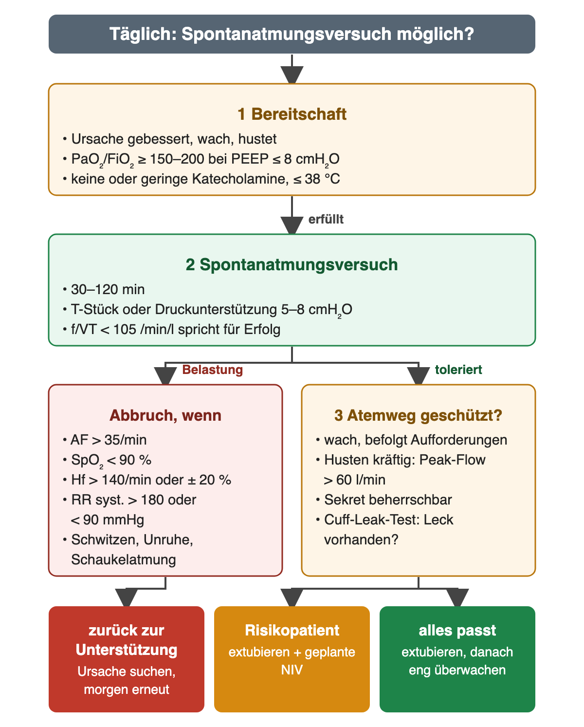 Ausgang: täglich prüfen, ob ein Spontanatmungsversuch möglich ist. Schritt 1 Bereitschaft: Ursache gebessert, wach, hustet; PaO₂/FiO₂ mindestens 150–200 bei PEEP höchstens 8 cmH₂O; keine oder geringe Katecholamine, Temperatur höchstens 38 °C. Wenn erfüllt, Schritt 2 Spontanatmungsversuch: 30–120 Minuten, T-Stück oder Druckunterstützung 5–8 cmH₂O, ein f/VT unter 105 pro Minute und Liter spricht für Erfolg. Bei Belastung links „Abbruch, wenn“: Atemfrequenz über 35/min, SpO₂ unter 90 %, Herzfrequenz über 140/min oder Änderung um 20 %, systolischer Blutdruck über 180 oder unter 90 mmHg, Schwitzen, Unruhe, Schaukelatmung; Ergebnis: zurück zur Unterstützung, Ursache suchen, am nächsten Tag erneut. Wenn toleriert, rechts Schritt 3 Atemweg geschützt: wach und befolgt Aufforderungen, kräftiger Husten mit Peak-Flow über 60 l/min, Sekret beherrschbar, Leck im Cuff-Leak-Test vorhanden. Ergebnisse: Risikopatient – extubieren mit geplanter NIV; alles passt – extubieren und danach eng überwachen.