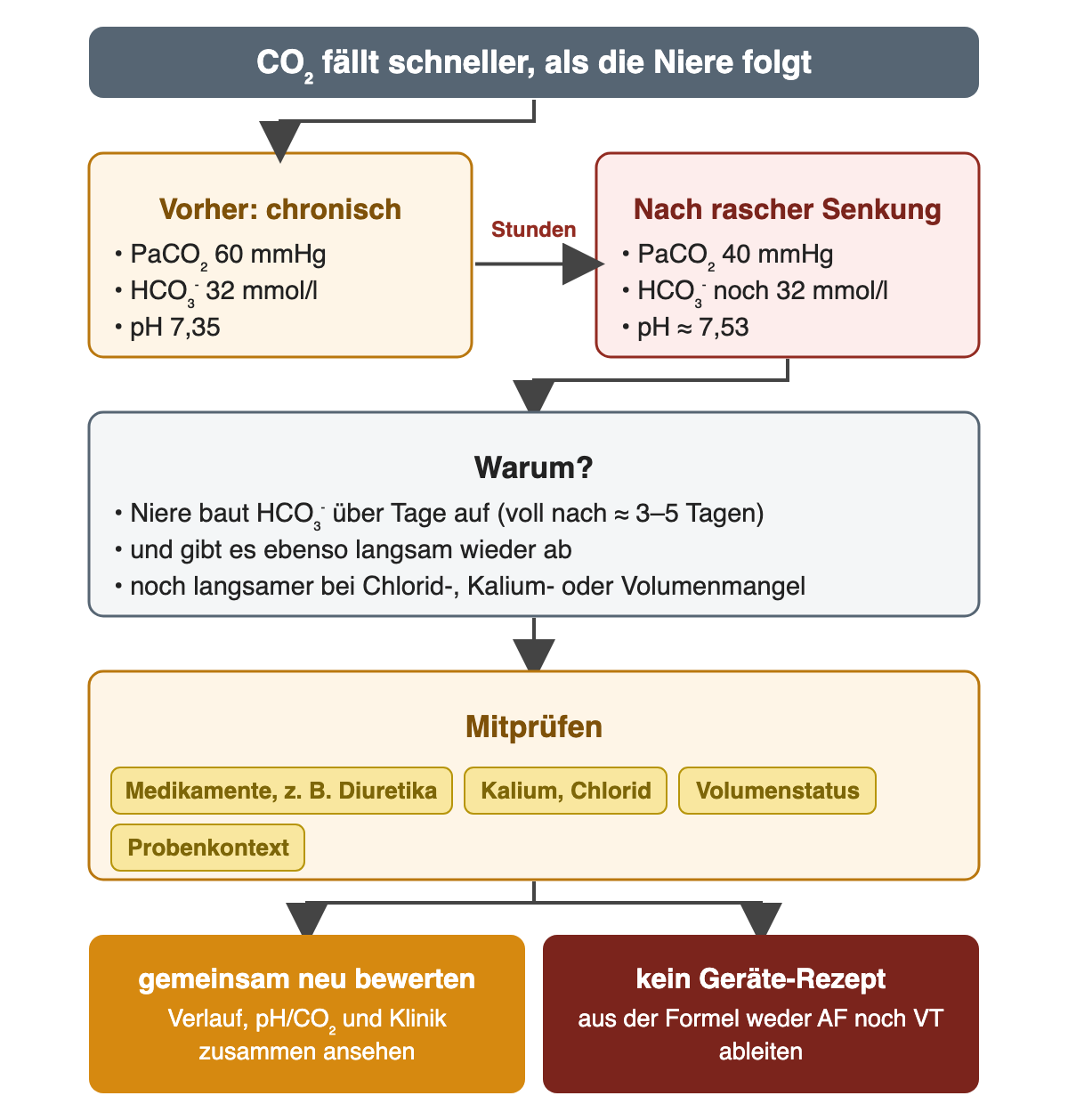 Oben: CO₂ fällt schneller, als die Niere folgt. Links vorher bei chronischer Hyperkapnie: PaCO₂ 60 mmHg, HCO₃⁻ 32 mmol/l, pH 7,35. Ein Pfeil mit der Angabe Stunden führt nach rechts zu „nach rascher Senkung“: PaCO₂ 40 mmHg, HCO₃⁻ noch 32 mmol/l, pH etwa 7,53. Darunter „Warum?“: die Niere baut HCO₃⁻ über Tage auf, voll ausgebildet nach etwa 3–5 Tagen, und gibt es ebenso langsam wieder ab, noch langsamer bei Chlorid-, Kalium- oder Volumenmangel. „Mitprüfen“: Medikamente wie Diuretika, Kalium und Chlorid, Volumenstatus, Probenkontext. Zwei Ergebnisse: gemeinsam neu bewerten – Verlauf, pH/CO₂ und Klinik zusammen ansehen; kein Geräte-Rezept – aus der Formel weder Atemfrequenz noch Tidalvolumen ableiten.