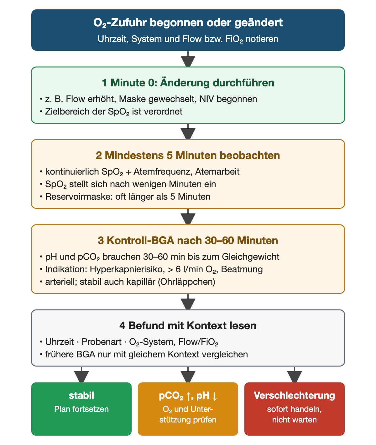 Von oben nach unten: O₂-Zufuhr begonnen oder geändert, Uhrzeit, System und Flow beziehungsweise FiO₂ notieren. Schritt 1, Minute 0: Änderung durchführen, etwa Flow erhöht, Maske gewechselt oder NIV begonnen; der SpO₂-Zielbereich ist verordnet. Schritt 2: mindestens 5 Minuten SpO₂, Atemfrequenz und Atemarbeit beobachten; die SpO₂ stellt sich nach wenigen Minuten ein, bei Reservoirmaske oft später. Schritt 3: Kontroll-BGA nach 30–60 Minuten, weil pH und pCO₂ so lange bis zum Gleichgewicht brauchen; Indikation bei Hyperkapnierisiko, mehr als 6 l/min O₂ oder Beatmung; arteriell, bei Stabilen auch kapillär am Ohrläppchen. Schritt 4: Befund mit Uhrzeit, Probenart und O₂-System lesen und nur mit gleichem Kontext vergleichen. Ergebnisse: stabil, Plan fortsetzen; pCO₂ steigt und pH fällt, O₂ und Unterstützung prüfen; Verschlechterung, sofort handeln und nicht warten.