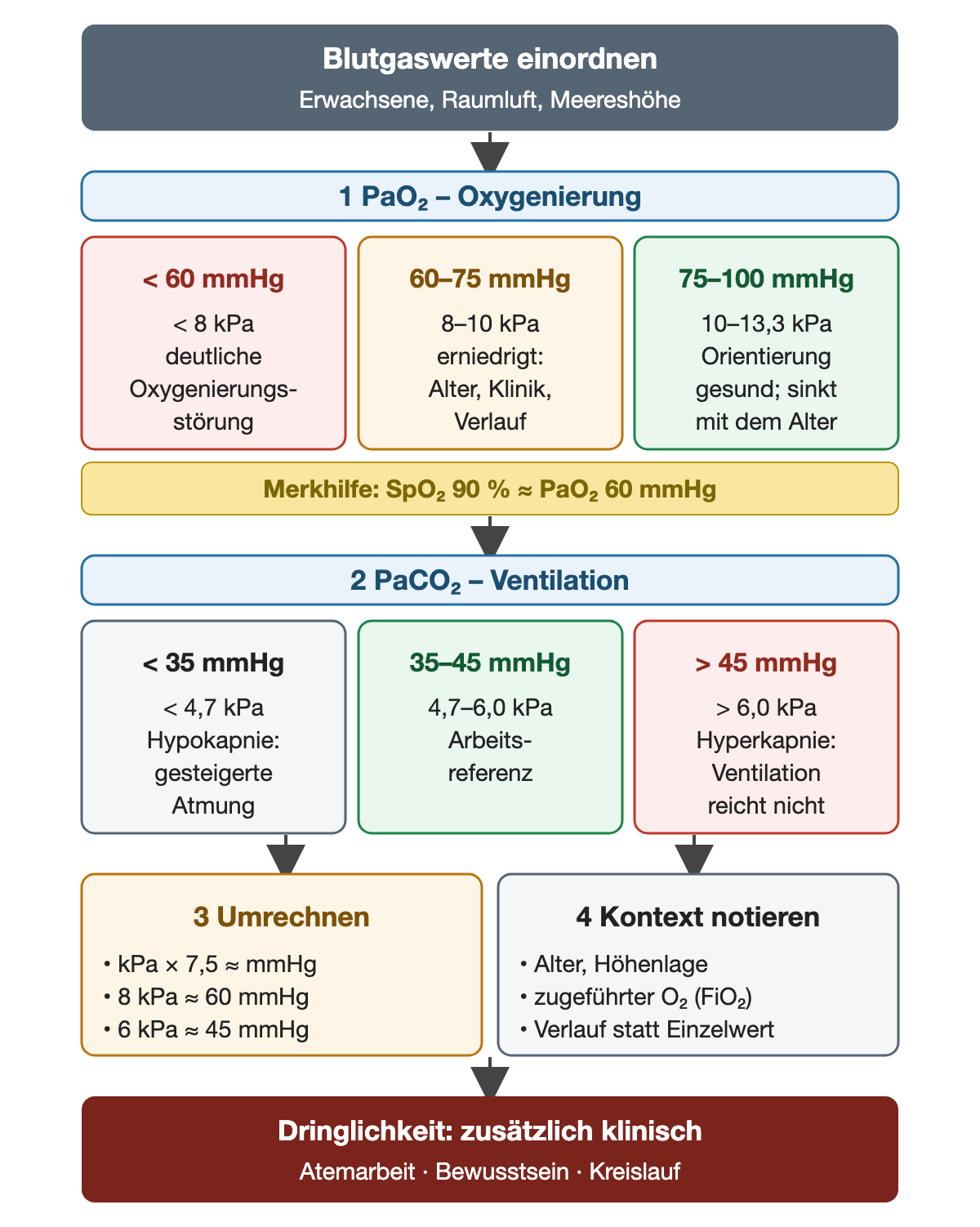 Blutgaswerte für Erwachsene unter Raumluft auf Meereshöhe einordnen. Schritt 1 PaO₂: unter 60 mmHg (unter 8 kPa) deutliche Oxygenierungsstörung; 60–75 mmHg (8–10 kPa) erniedrigt, nach Alter, Klinik und Verlauf beurteilen; 75–100 mmHg (10–13,3 kPa) Orientierung für Gesunde, sinkt mit dem Alter. Merkhilfe: SpO₂ 90 % entspricht etwa PaO₂ 60 mmHg. Schritt 2 PaCO₂: unter 35 mmHg (unter 4,7 kPa) Hypokapnie bei gesteigerter Atmung; 35–45 mmHg (4,7–6,0 kPa) Arbeitsreferenz; über 45 mmHg (über 6,0 kPa) Hyperkapnie, Ventilation reicht nicht. Schritt 3 Umrechnen: kPa mal 7,5 ergibt ungefähr mmHg, 8 kPa etwa 60 mmHg, 6 kPa etwa 45 mmHg. Schritt 4 Kontext notieren: Alter, Höhenlage, zugeführter O₂, Verlauf statt Einzelwert. Unten: Dringlichkeit zusätzlich klinisch nach Atemarbeit, Bewusstsein und Kreislauf.