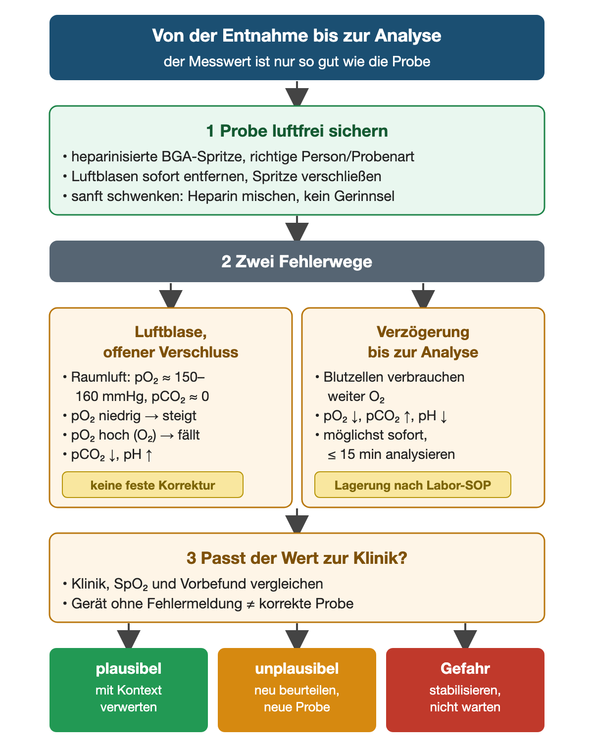 Von oben nach unten: Von der Entnahme bis zur Analyse. Schritt 1: Probe luftfrei sichern mit heparinisierter BGA-Spritze, richtiger Person und Probenart, Luftblasen sofort entfernen, Spritze verschließen und sanft schwenken. Schritt 2, zwei Fehlerwege nebeneinander: Luftblase oder offener Verschluss – Raumluft hat pO₂ etwa 150–160 mmHg und kaum CO₂, ein niedriger pO₂ steigt, ein hoher pO₂ unter Sauerstoff fällt, pCO₂ sinkt und pH steigt, keine feste Korrektur möglich. Verzögerung bis zur Analyse – Blutzellen verbrauchen weiter O₂, pO₂ sinkt, pCO₂ steigt, pH sinkt; möglichst sofort, innerhalb von 15 Minuten analysieren, Lagerung nach Laborstandard. Schritt 3: Passt der Wert zur Klinik? Klinik, SpO₂ und Vorbefund vergleichen; ein Gerät ohne Fehlermeldung beweist keine korrekte Probe. Ergebnisse: plausibel, mit Kontext verwerten; unplausibel, neu beurteilen und neue Probe; Gefahr, stabilisieren und nicht warten.