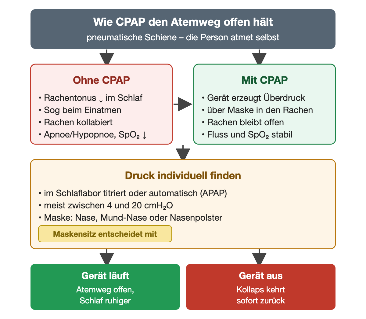 Vergleich ohne und mit CPAP: Ohne CPAP kollabiert der Rachen im Schlaf durch sinkenden Tonus und Sog beim Einatmen; mit CPAP gelangt Überdruck über die Maske in den Rachen und hält ihn offen. Darunter: Druck im Schlaflabor oder automatisch eingestellt, meist 4 bis 20 cmH₂O, Maskenformen. Unten: Gerät läuft – Atemweg offen; Gerät aus – Kollaps kehrt zurück.