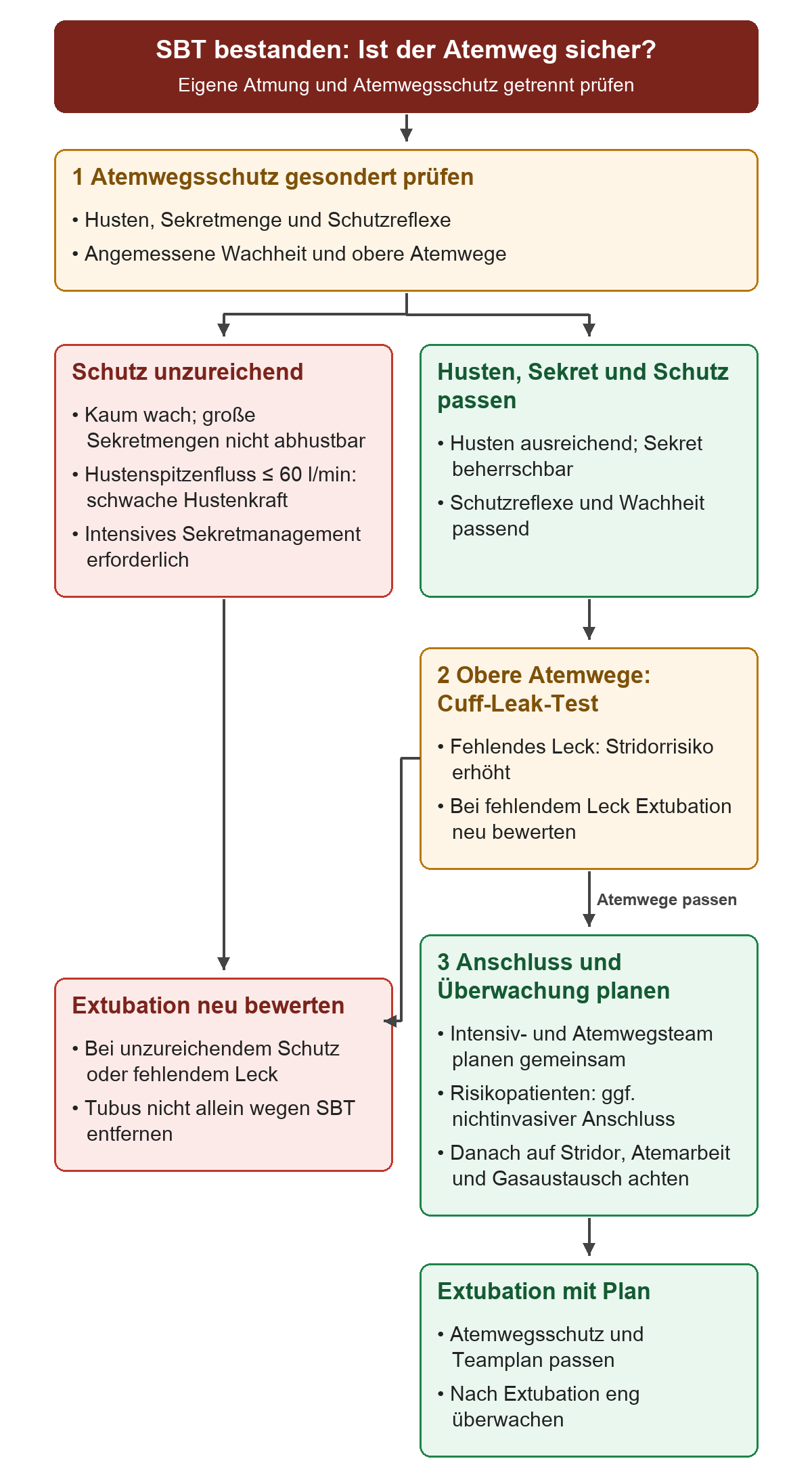 Nach bestandenem Spontanatmungsversuch werden Husten, Sekretmenge, Schutzreflexe, Wachheit und obere Atemwege getrennt geprüft. Bei unzureichendem Schutz, etwa kaum wacher Person mit nicht abhustbarem Sekret, führt der rote Weg zur Neubewertung der Extubation. Ein Hustenspitzenfluss von höchstens 60 l/min weist auf schwache Hustenkraft hin und verlangt intensives Sekretmanagement. Bei passendem Schutz folgt die Prüfung der oberen Atemwege: fehlendes Leck im Cuff-Leak-Test erhöht das Stridorrisiko und führt ebenfalls zur Neubewertung. Passen die Bedingungen, planen Intensiv- und Atemwegsteam den Anschluss, bei Risikopatienten gegebenenfalls nichtinvasiv, und die Überwachung auf Stridor, zunehmende Atemarbeit und schlechteren Gasaustausch.