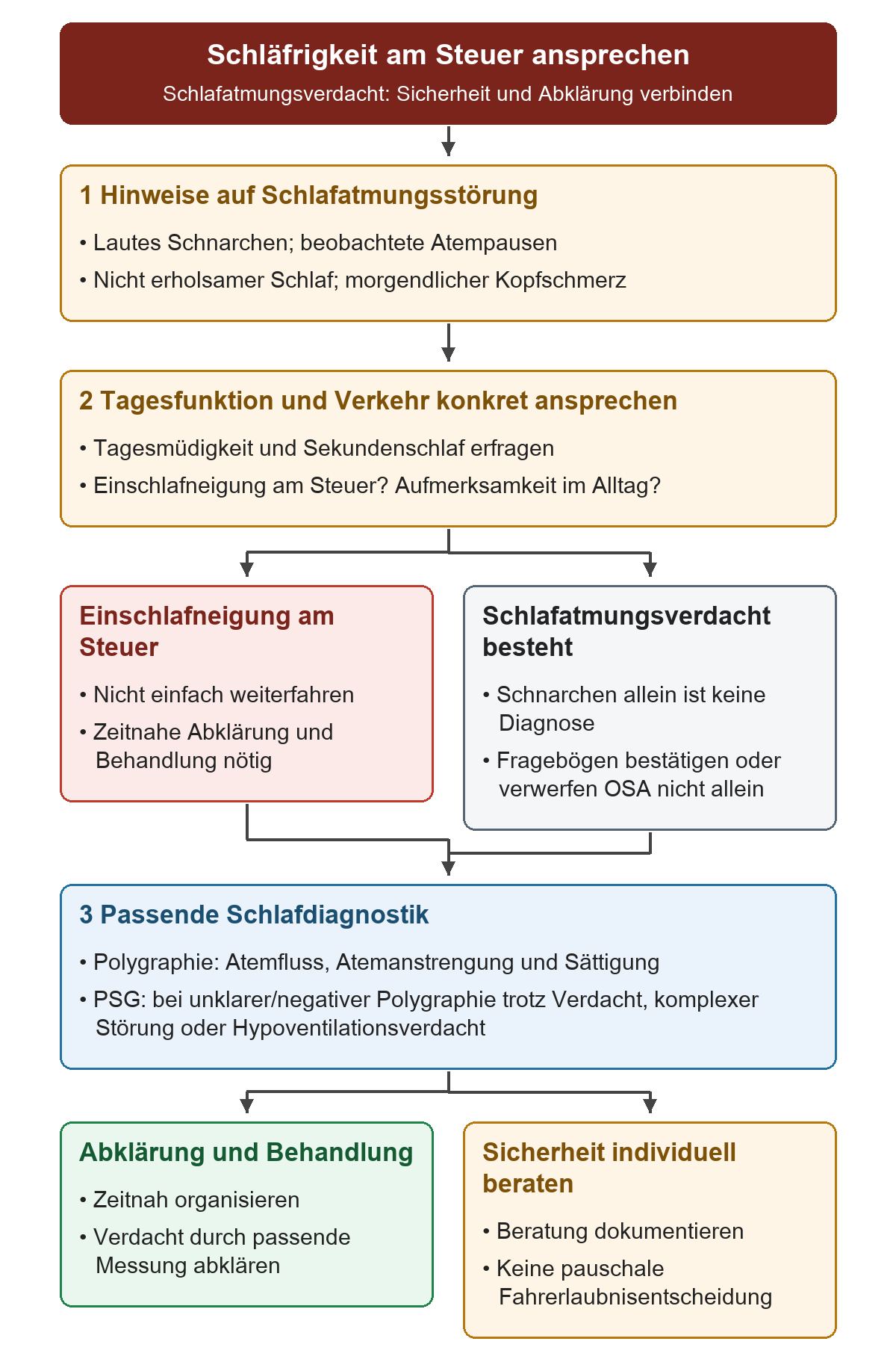 Von Hinweisen auf Schlafatmungsstörungen mit Schnarchen und Atempausen zu Tagesmüdigkeit und Sekundenschlaf. Einschlafneigung am Steuer führt zum roten Zweig: nicht einfach weiterfahren und zeitnah Abklärung und Behandlung organisieren. Die diagnostische Abklärung bleibt bei Verdacht auch ohne berichtetes Fahrereignis erforderlich: Fragebögen allein stellen keine Diagnose; Polygraphie oder bei unklarem, negativem oder komplexem Befund Polysomnografie. Die Ergebnisse verbinden zeitnahe Abklärung und Behandlung mit individuell dokumentierter Sicherheitsberatung, ohne pauschale Fahrerlaubnisentscheidung.