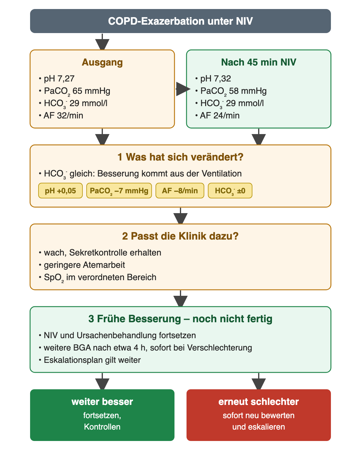 Oben COPD-Exazerbation unter NIV. Zwei Kästen nebeneinander: Ausgang pH 7,27, PaCO₂ 65 mmHg, HCO₃⁻ 29 mmol/l, Atemfrequenz 32/min; nach 45 Minuten NIV pH 7,32, PaCO₂ 58 mmHg, HCO₃⁻ 29 mmol/l, Atemfrequenz 24/min. Schritt 1 „Was hat sich verändert?“: pH plus 0,05, PaCO₂ minus 7 mmHg, Atemfrequenz minus 8 pro Minute, HCO₃⁻ unverändert – die Besserung kommt aus der Ventilation. Schritt 2 „Passt die Klinik dazu?“: wach, Sekretkontrolle erhalten, geringere Atemarbeit, SpO₂ im verordneten Bereich. Schritt 3 „Frühe Besserung – noch nicht fertig“: NIV und Ursachenbehandlung fortsetzen, weitere BGA nach etwa 4 Stunden und sofort bei Verschlechterung, Eskalationsplan gilt weiter. Zwei Ergebnisse: weiter besser – fortsetzen mit Kontrollen; erneut schlechter – sofort neu bewerten und eskalieren.