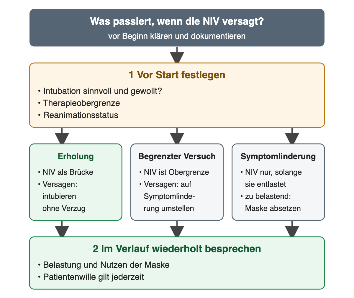 Oben die Frage: Was passiert, wenn die NIV versagt – vor Beginn klären und dokumentieren. Schritt 1 „Vor Start festlegen“: Intubation sinnvoll und gewollt, Therapieobergrenze, Reanimationsstatus. Drei Spalten nebeneinander: Erholung – NIV als Brücke, bei Versagen ohne Verzug intubieren; begrenzter Versuch – NIV ist die Obergrenze, bei Versagen auf Symptomlinderung umstellen; Symptomlinderung – NIV nur, solange sie entlastet, bei zu großer Belastung Maske absetzen. Alle drei führen zu Schritt 2 „Im Verlauf wiederholt besprechen“: Belastung und Nutzen der Maske, Patientenwille gilt jederzeit.