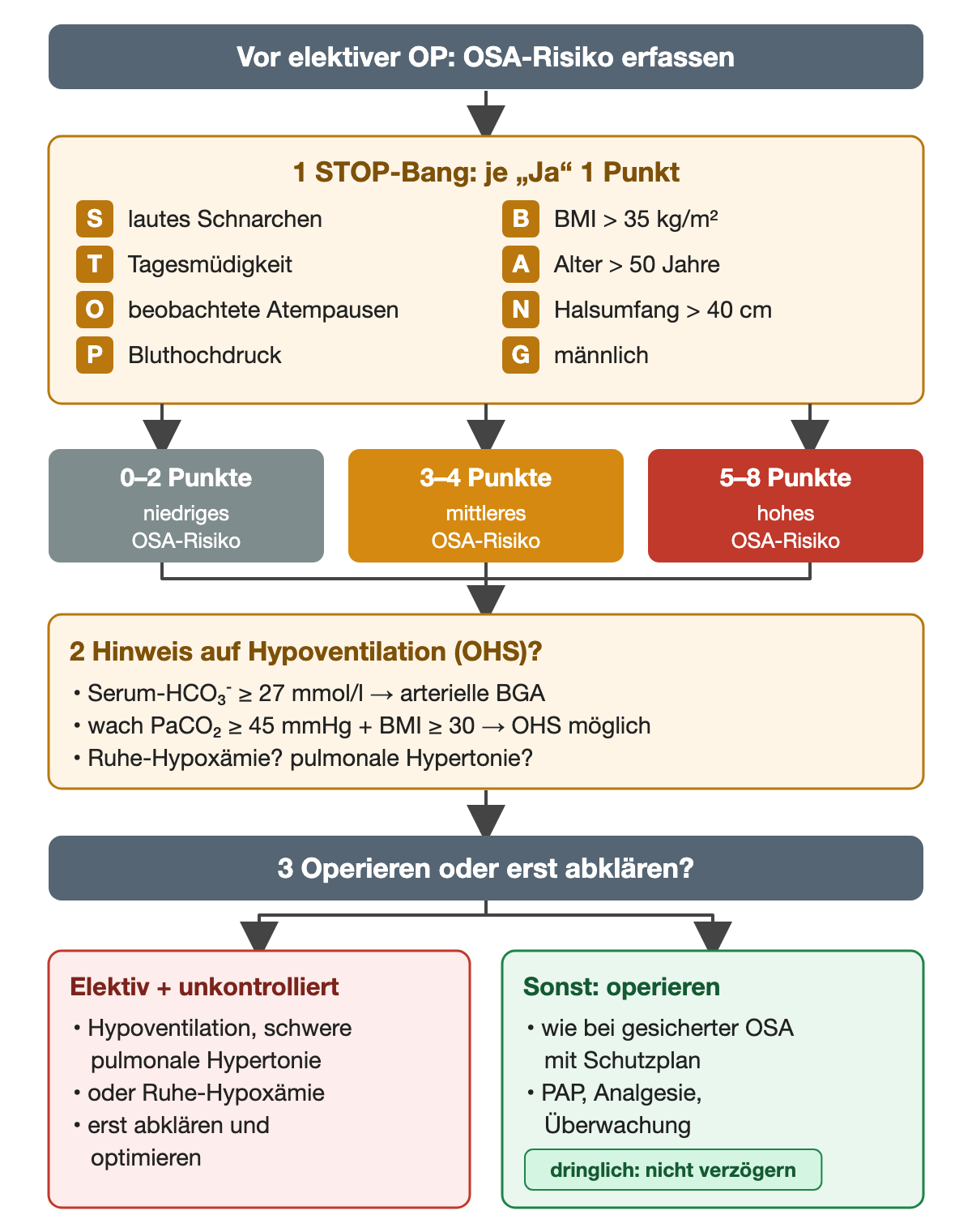 Vor elektiver OP das OSA-Risiko erfassen. Schritt 1 STOP-Bang, je Ja ein Punkt: S lautes Schnarchen, T Tagesmüdigkeit, O beobachtete Atempausen, P Bluthochdruck, B BMI über 35 kg/m², A Alter über 50 Jahre, N Halsumfang über 40 cm, G männlich. Ergebnisreihe: 0–2 Punkte niedriges, 3–4 mittleres, 5–8 hohes OSA-Risiko. Schritt 2 Hinweis auf Hypoventilation: Serum-HCO₃⁻ ≥ 27 mmol/l führt zur arteriellen BGA; wach PaCO₂ ≥ 45 mmHg plus BMI ≥ 30 macht OHS möglich; Ruhe-Hypoxämie oder pulmonale Hypertonie erfragen. Schritt 3 operieren oder erst abklären: elektiv mit unkontrollierter Hypoventilation, schwerer pulmonaler Hypertonie oder Ruhe-Hypoxämie erst abklären und optimieren; sonst wie bei gesicherter OSA mit Schutzplan aus PAP, Analgesie und Überwachung operieren; dringliche Eingriffe nicht verzögern.