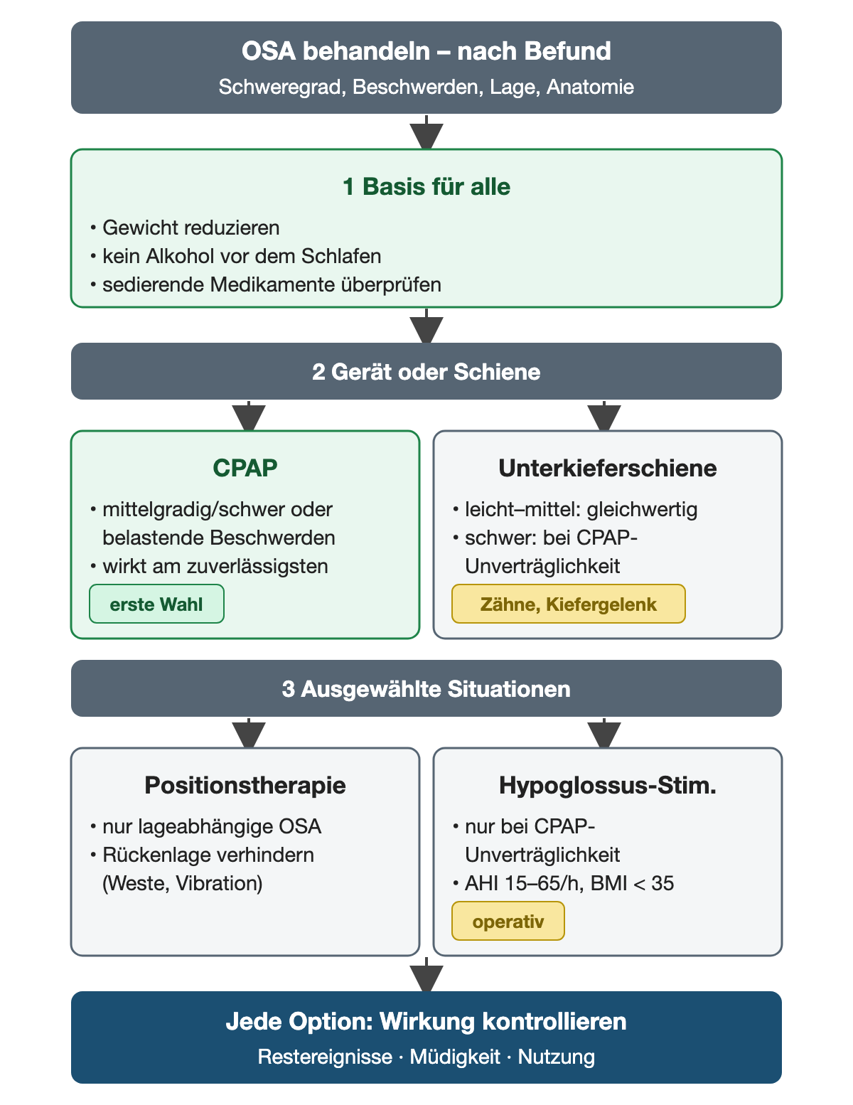 Behandlung der OSA in drei Ebenen: Basis für alle (Gewicht, kein Alkohol vor dem Schlafen, sedierende Medikamente prüfen); Gerät oder Schiene (CPAP als erste Wahl bei mittelgradiger oder schwerer OSA, Unterkieferschiene bei leichter bis mittelgradiger OSA gleichwertig, bei schwerer nur bei CPAP-Unverträglichkeit); ausgewählte Situationen (Positionstherapie bei lageabhängiger OSA, Hypoglossusstimulation bei CPAP-Unverträglichkeit, AHI 15 bis 65 pro Stunde, BMI unter 35). Unten: Wirkung jeder Option kontrollieren.