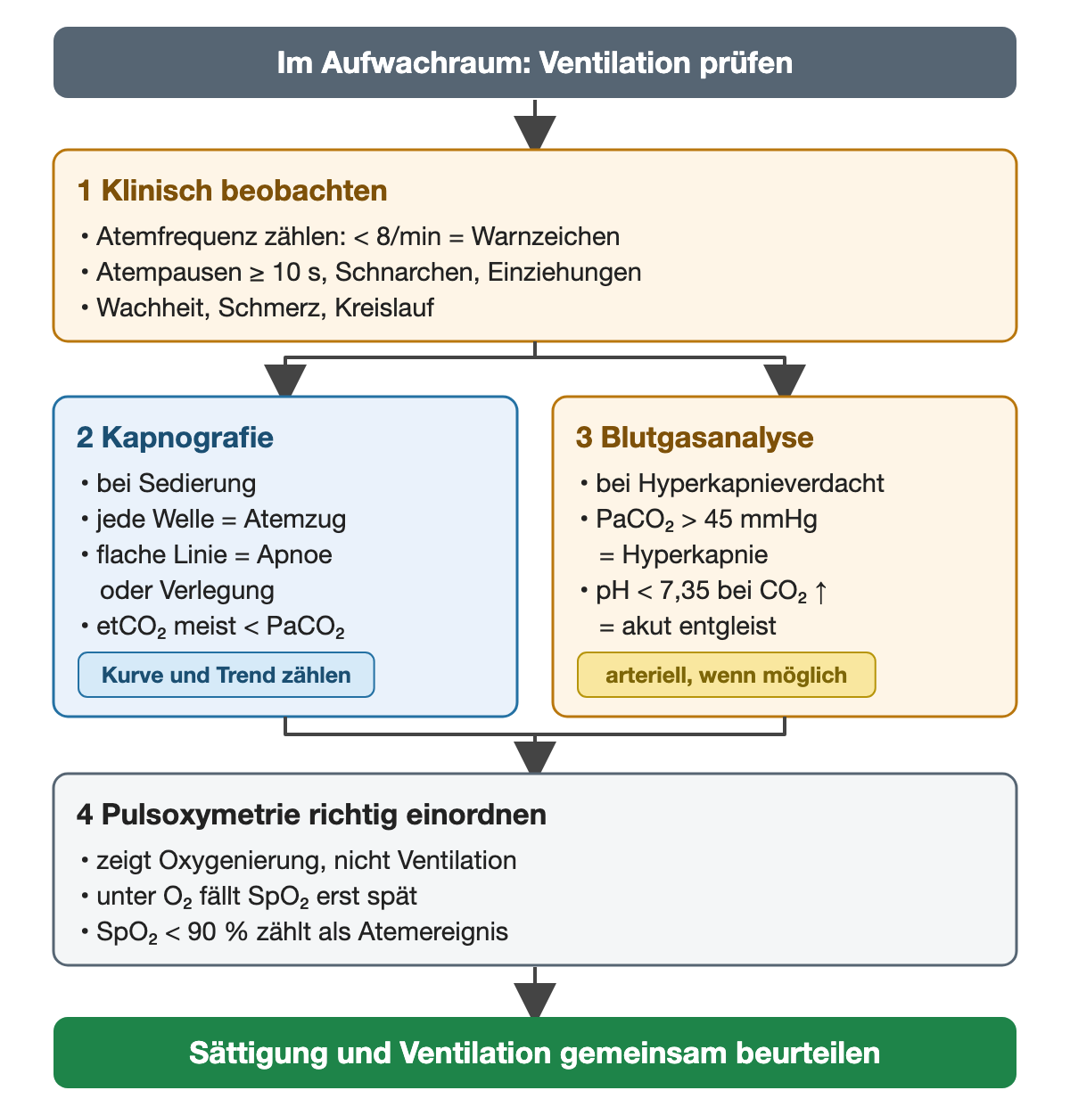 Im Aufwachraum die Ventilation prüfen. Schritt 1 klinisch beobachten: Atemfrequenz zählen, unter 8/min Warnzeichen; Atempausen ≥ 10 s, Schnarchen, Einziehungen; Wachheit, Schmerz, Kreislauf. Dann nebeneinander: Schritt 2 Kapnografie bei Sedierung – jede Welle ein Atemzug, flache Linie bedeutet Apnoe oder Verlegung, etCO₂ meist niedriger als PaCO₂, Kurve und Trend zählen; Schritt 3 Blutgasanalyse bei Hyperkapnieverdacht – PaCO₂ über 45 mmHg ist Hyperkapnie, pH unter 7,35 bei CO₂-Anstieg zeigt eine akute Entgleisung, möglichst arteriell. Schritt 4 Pulsoxymetrie einordnen: zeigt Oxygenierung, nicht Ventilation; unter O₂ fällt SpO₂ erst spät; SpO₂ unter 90 % zählt als Atemereignis. Ergebnis: Sättigung und Ventilation gemeinsam beurteilen.