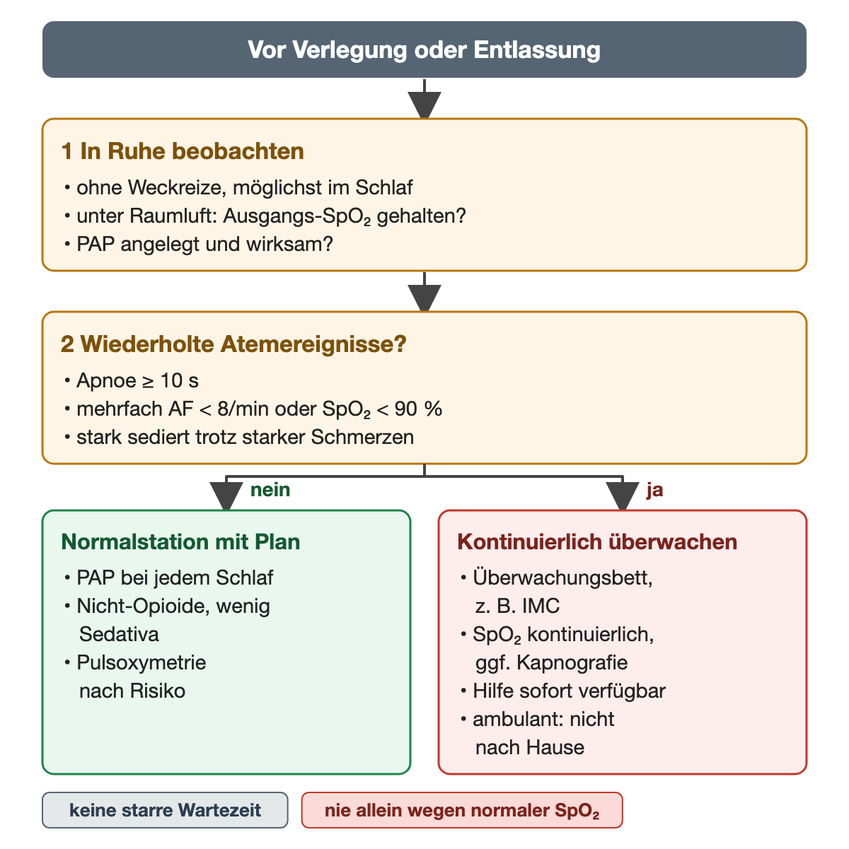 Vor Verlegung oder Entlassung. Schritt 1 in Ruhe beobachten: ohne Weckreize, möglichst im Schlaf; unter Raumluft prüfen, ob die Ausgangs-SpO₂ gehalten wird; PAP angelegt und wirksam? Schritt 2 wiederholte Atemereignisse: Apnoe ≥ 10 s, mehrfach Atemfrequenz unter 8/min oder SpO₂ unter 90 %, stark sediert trotz starker Schmerzen. Nein: Normalstation mit Plan – PAP bei jedem Schlaf, Nicht-Opioide und wenig Sedativa, Pulsoxymetrie nach Risiko. Ja: kontinuierlich überwachen – Überwachungsbett, z. B. IMC, SpO₂ kontinuierlich, ggf. Kapnografie, Hilfe sofort verfügbar, ambulant nicht nach Hause. Hinweise unten: keine starre Wartezeit; nie allein wegen normaler SpO₂.
