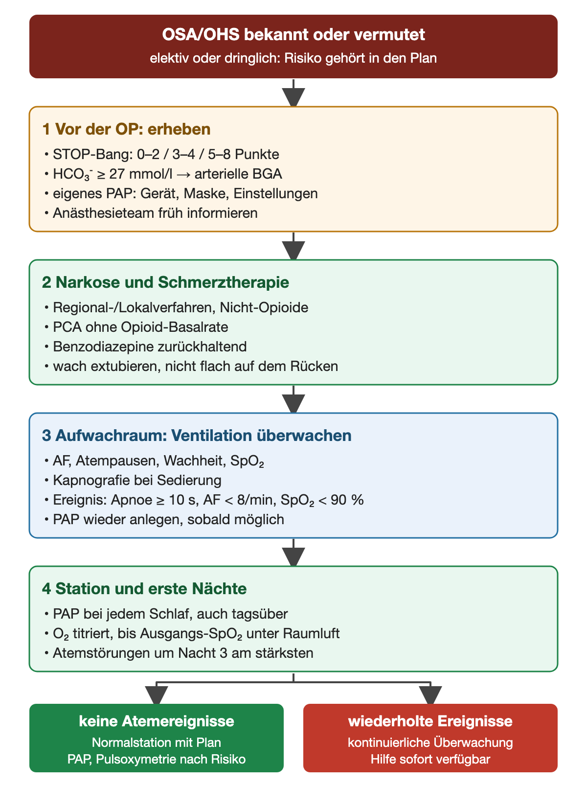 Perioperativer Pfad bei bekannter oder vermuteter OSA/OHS in vier Schritten. 1 Vor der OP erheben: STOP-Bang 0–2, 3–4 oder 5–8 Punkte; HCO₃⁻ ≥ 27 mmol/l führt zur arteriellen BGA; eigenes PAP mit Gerät, Maske und Einstellungen; Anästhesieteam früh informieren. 2 Narkose und Schmerztherapie: Regional-/Lokalverfahren und Nicht-Opioide, PCA ohne Opioid-Basalrate, Benzodiazepine zurückhaltend, wach extubieren und nicht flach auf dem Rücken. 3 Aufwachraum: Atemfrequenz, Atempausen, Wachheit und SpO₂; Kapnografie bei Sedierung; Ereignisse sind Apnoe ≥ 10 s, AF < 8/min und SpO₂ < 90 %; PAP wieder anlegen. 4 Station und erste Nächte: PAP bei jedem Schlaf, O₂ titriert bis zur Ausgangs-SpO₂ unter Raumluft, Atemstörungen um Nacht 3 am stärksten. Ergebnis: ohne Atemereignisse Normalstation mit Plan; bei wiederholten Ereignissen kontinuierliche Überwachung mit sofort verfügbarer Hilfe.