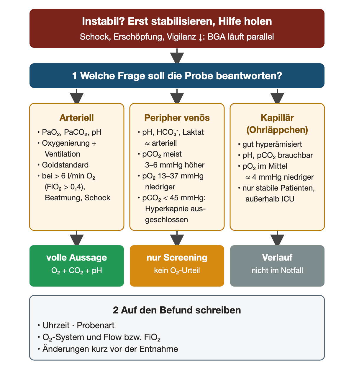 Von oben nach unten: Bei Instabilität mit Schock, Erschöpfung oder Vigilanzminderung zuerst stabilisieren und Hilfe holen, die BGA läuft parallel. Dann bestimmt die Frage die Probe. Arteriell: PaO₂, PaCO₂ und pH, Oxygenierung und Ventilation, Goldstandard, angezeigt bei mehr als 6 l/min O₂ beziehungsweise FiO₂ über 0,4, Beatmung oder Schock; Ergebnis volle Aussage. Peripher venös: pH, Bikarbonat und Laktat etwa wie arteriell, pCO₂ meist 3–6 mmHg höher, pO₂ 13–37 mmHg niedriger, pCO₂ unter 45 mmHg schließt eine Hyperkapnie aus; Ergebnis nur Screening ohne Sauerstoffurteil. Kapillär am Ohrläppchen: gut hyperämisiert, pH und pCO₂ brauchbar, pO₂ im Mittel etwa 4 mmHg niedriger, nur bei stabilen Patienten außerhalb der Intensivstation; Ergebnis Verlauf, nicht im Notfall. Schritt 2: Uhrzeit, Probenart, O₂-System mit Flow oder FiO₂ und Änderungen kurz vor der Entnahme auf den Befund schreiben.