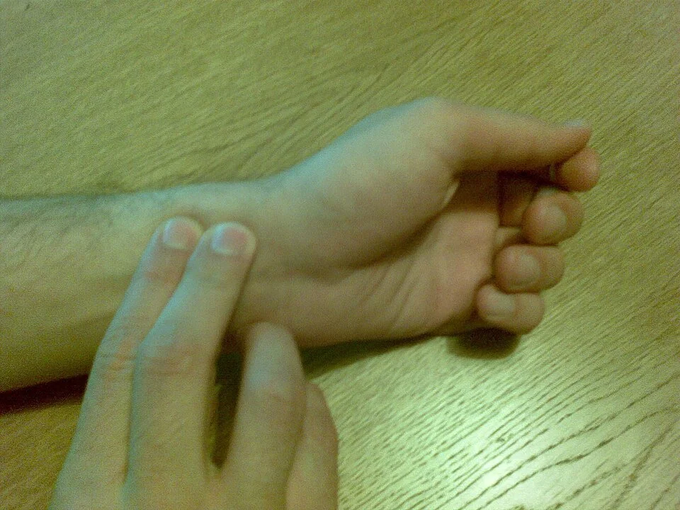 Zwei Finger tasten an der Daumenseite der Handgelenksbeugeseite, proximal der Handgelenksfalte, den Puls der Arteria radialis.