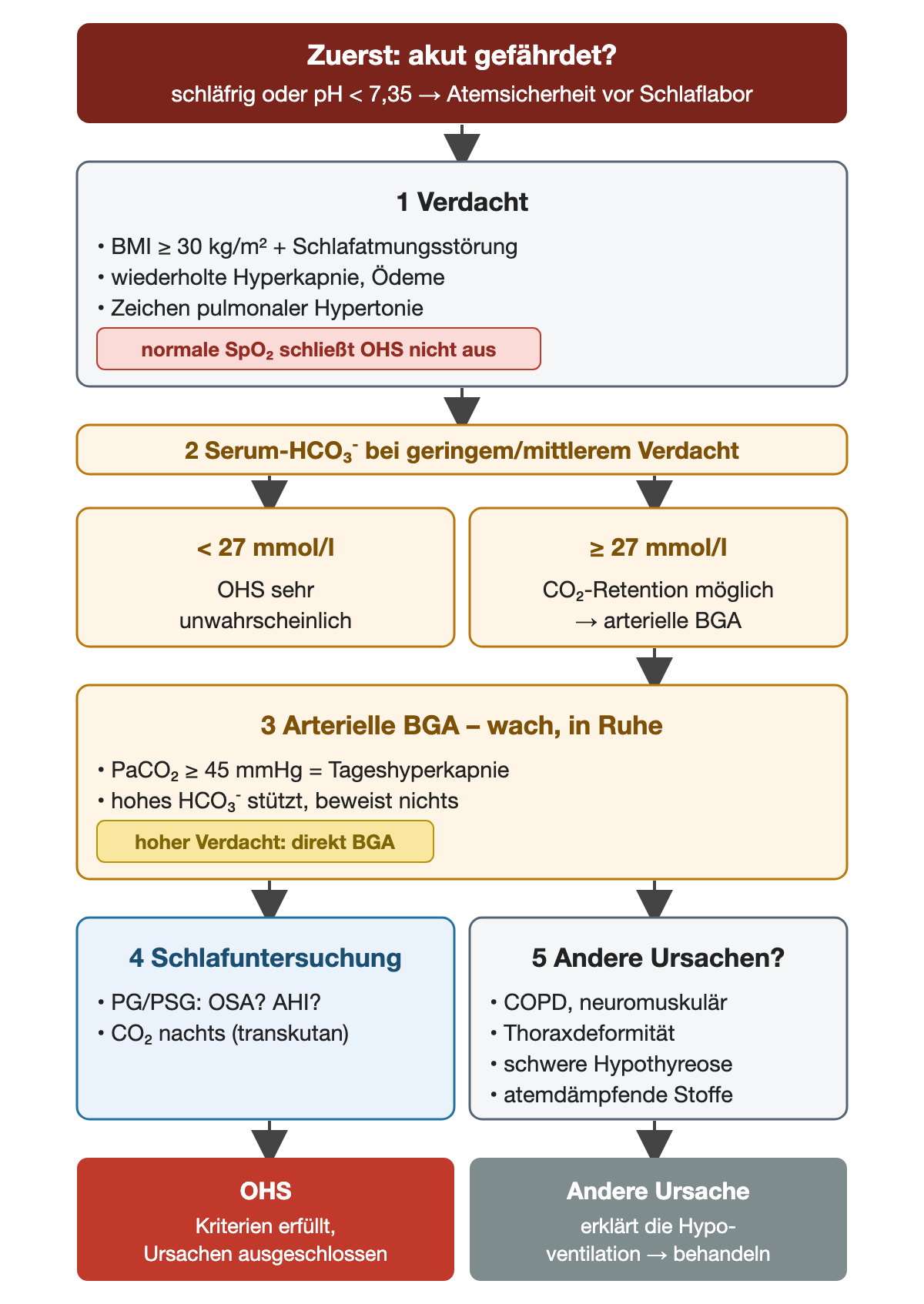 Abklärung des OHS: zuerst akute Gefährdung prüfen (schläfrig oder pH unter 7,35: Atemsicherheit vor Schlaflabor). Dann Verdacht, Serumbikarbonat bei geringem oder mittlerem Verdacht (unter 27 mmol/l OHS sehr unwahrscheinlich, ab 27 mmol/l arterielle BGA), wache BGA mit PaCO₂ mindestens 45 mmHg, Schlafuntersuchung mit nächtlicher CO₂-Messung und Ausschluss anderer Ursachen. Ergebnis: OHS oder andere führende Ursache.