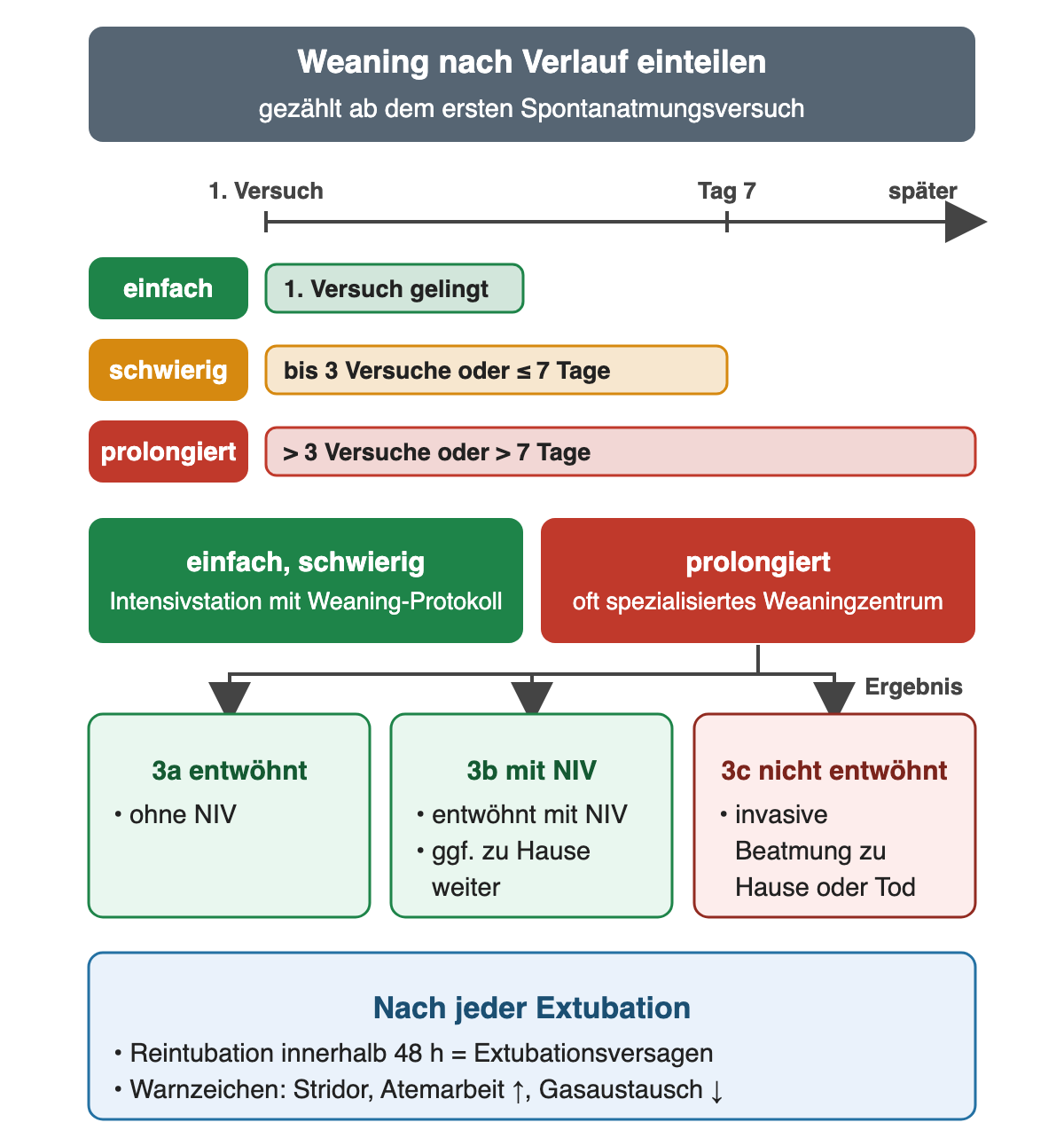 Weaning nach Verlauf, gezählt ab dem ersten Spontanatmungsversuch, auf einer Zeitachse bis Tag 7 und später: einfach – der erste Versuch gelingt; schwierig – bis zu drei Versuche oder bis zu 7 Tage; prolongiert – mehr als drei Versuche oder mehr als 7 Tage. Darunter: einfach und schwierig auf der Intensivstation mit Weaning-Protokoll; prolongiert oft im spezialisierten Weaningzentrum, mit drei Ergebnissen: 3a entwöhnt ohne NIV, 3b entwöhnt mit NIV, gegebenenfalls zu Hause weiter, 3c nicht entwöhnt mit invasiver Beatmung zu Hause oder Tod; 3a und 3b grün, 3c rot. Unten blau: nach jeder Extubation gilt eine Reintubation innerhalb von 48 Stunden als Extubationsversagen; Warnzeichen sind Stridor, steigende Atemarbeit und schlechterer Gasaustausch.