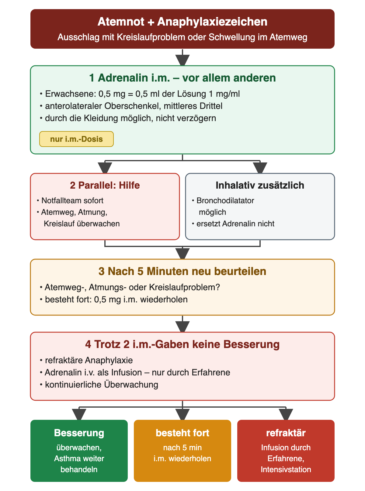 Ablauf bei Atemnot mit Anaphylaxiezeichen: 1 Adrenalin 0,5 mg i.m. in den anterolateralen Oberschenkel; 2 parallel Notfallteam, inhalativer Bronchodilatator nur zusätzlich; 3 nach 5 Minuten neu beurteilen und bei fortbestehenden Problemen wiederholen; 4 nach zwei i.m.-Gaben ohne Besserung refraktäre Anaphylaxie mit Adrenalininfusion durch Erfahrene. Ergebniszeile: Besserung, fortbestehend, refraktär.