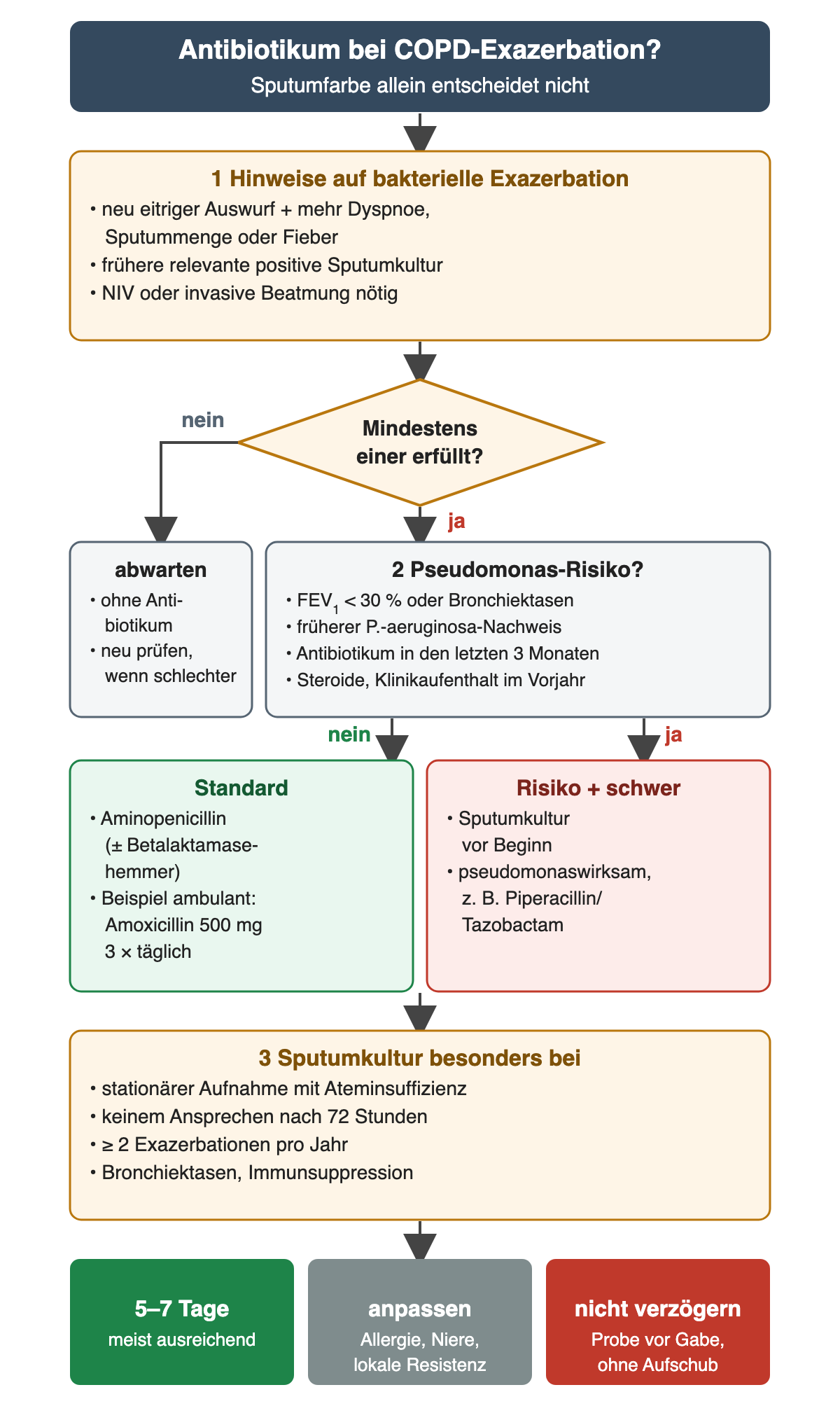 Kopf: Antibiotikum bei COPD-Exazerbation, die Sputumfarbe allein entscheidet nicht. 1 gelb: Hinweise auf bakterielle Exazerbation – neu eitriger Auswurf plus mehr Dyspnoe, Sputummenge oder Fieber; frühere relevante positive Sputumkultur; NIV oder invasive Beatmung nötig. Raute: mindestens einer erfüllt? Nein – abwarten ohne Antibiotikum, neu prüfen, wenn schlechter. Ja – 2 Pseudomonas-Risiko: FEV₁ unter 30 Prozent oder Bronchiektasen, früherer P.-aeruginosa-Nachweis, Antibiotikum in den letzten 3 Monaten, Steroide, Klinikaufenthalt im Vorjahr. Ohne Risiko grün: Aminopenicillin mit oder ohne Betalaktamasehemmer, Beispiel ambulant Amoxicillin 500 mg dreimal täglich. Mit Risiko und schwerem Verlauf rot: Sputumkultur vor Beginn, pseudomonaswirksam, zum Beispiel Piperacillin/Tazobactam. 3 gelb: Sputumkultur besonders bei stationärer Aufnahme mit Ateminsuffizienz, keinem Ansprechen nach 72 Stunden, mindestens 2 Exazerbationen pro Jahr, Bronchiektasen oder Immunsuppression. Ergebnisreihe: 5 bis 7 Tage meist ausreichend; anpassen an Allergie, Niere und lokale Resistenz; nicht verzögern – Probe vor Gabe, ohne Aufschub.