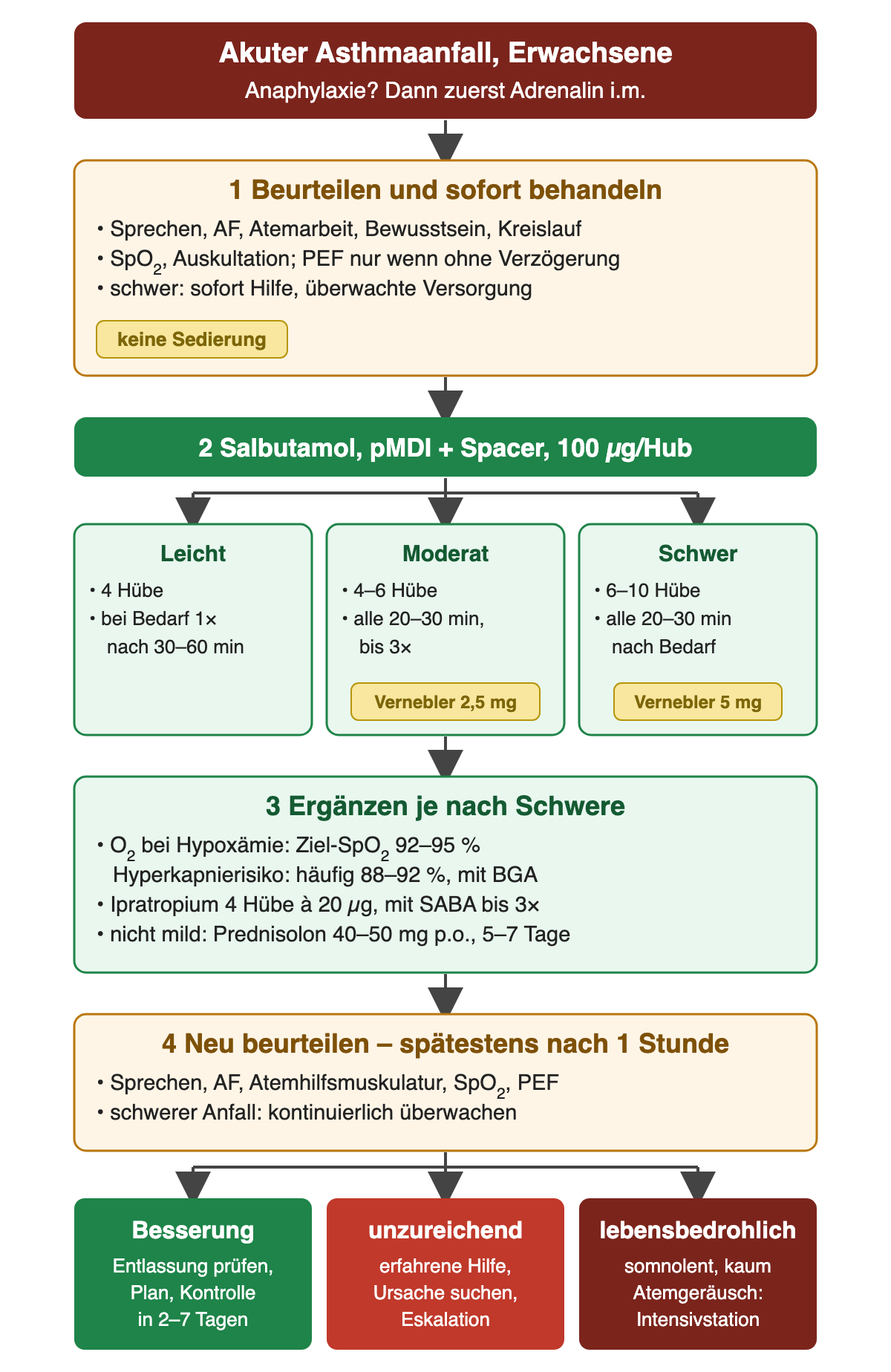 Akuttherapie beim Erwachsenen in vier Schritten: 1 beurteilen und sofort behandeln, keine Sedierung; 2 Salbutamol über Dosieraerosol mit Spacer, leicht 4 Hübe, moderat 4 bis 6 Hübe alle 20 bis 30 Minuten bis dreimal oder Vernebler 2,5 mg, schwer 6 bis 10 Hübe oder Vernebler 5 mg; 3 Sauerstoff mit Ziel-SpO2 92 bis 95 Prozent, Ipratropium 4 Hübe à 20 µg, Prednisolon 40 bis 50 mg für 5 bis 7 Tage; 4 spätestens nach einer Stunde neu beurteilen. Ergebniszeile: Besserung, unzureichend, lebensbedrohlich.