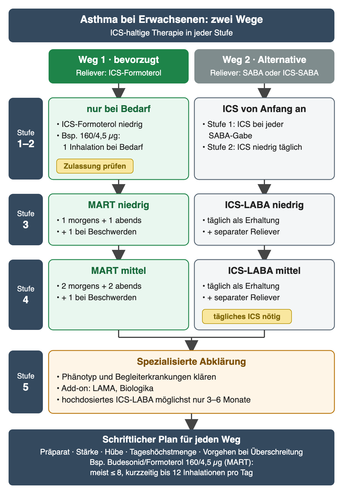 Zwei Spalten für Erwachsene, links Weg 1 bevorzugt mit ICS-Formoterol als Reliever, rechts Weg 2 als Alternative mit SABA oder ICS-SABA als Reliever; links die Stufen. Stufe 1–2: links ICS-Formoterol niedrig nur bei Bedarf, zum Beispiel 160/4,5 Mikrogramm eine Inhalation, mit dem Hinweis Zulassung prüfen; rechts Stufe 1 ICS bei jeder SABA-Gabe, Stufe 2 ICS niedrig täglich. Stufe 3: links MART niedrig mit einer Inhalation morgens und abends plus einer bei Beschwerden; rechts ICS-LABA niedrig täglich plus separater Reliever. Stufe 4: links MART mittel mit zwei Inhalationen morgens und abends plus einer bei Beschwerden; rechts ICS-LABA mittel, tägliches ICS nötig. Stufe 5: spezialisierte Abklärung mit Phänotyp, Begleiterkrankungen, Add-on wie LAMA und Biologika, hochdosiertes ICS-LABA möglichst nur 3–6 Monate. Unten der schriftliche Plan mit Präparat, Stärke, Hüben, Tageshöchstmenge und Vorgehen bei Überschreitung; für Budesonid/Formoterol 160/4,5 Mikrogramm als MART meist höchstens 8, kurzzeitig bis 12 Inhalationen pro Tag.