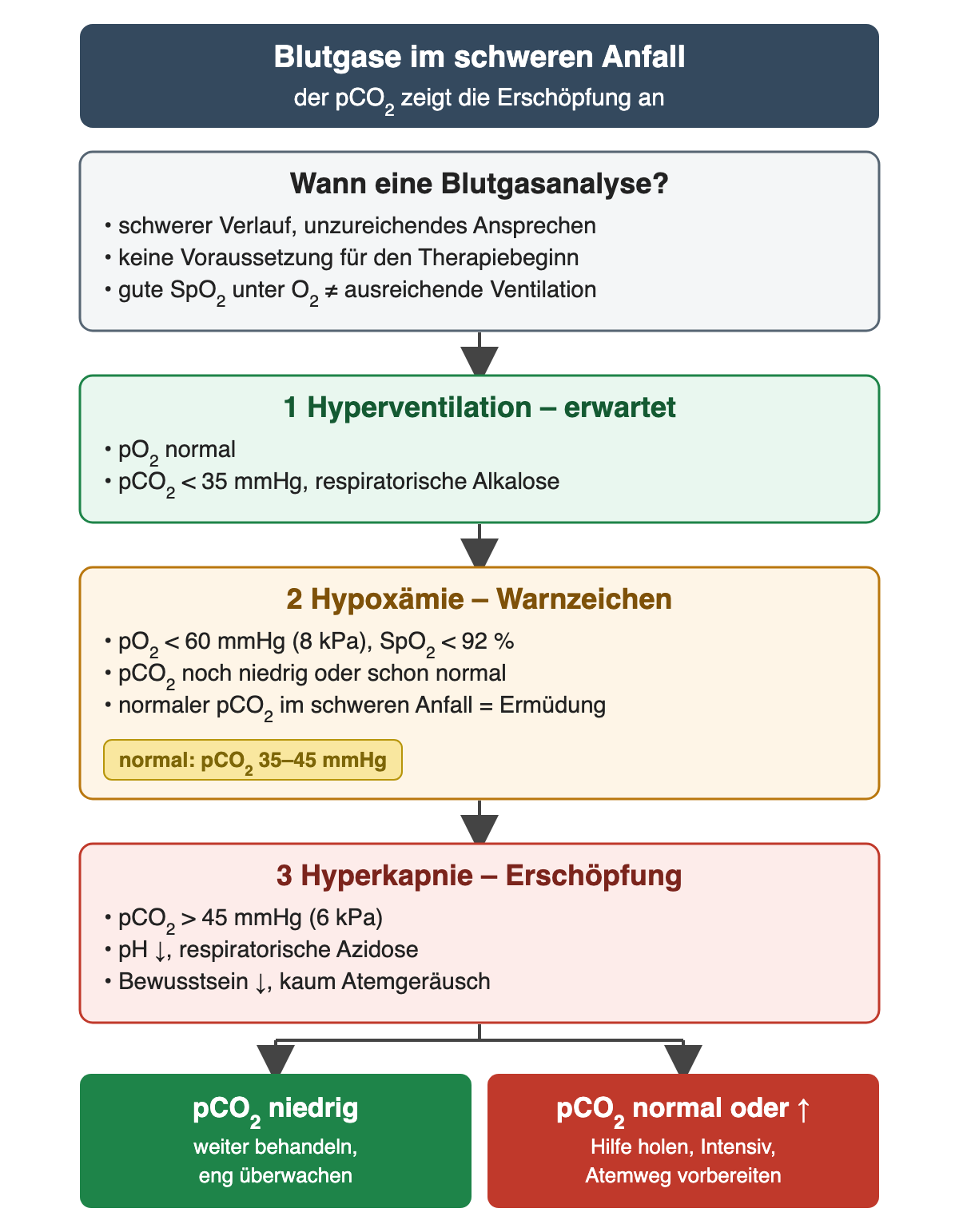 Blutgase im schweren Anfall: zuerst wann eine Blutgasanalyse sinnvoll ist, dann drei Stufen. 1 Hyperventilation mit pCO2 unter 35 mmHg; 2 Hypoxämie mit pO2 unter 60 mmHg, pCO2 noch niedrig oder schon normal, Normbereich 35 bis 45 mmHg; 3 Hyperkapnie mit pCO2 über 45 mmHg und respiratorischer Azidose. Ergebnis: niedriger pCO2 weiter behandeln, normaler oder steigender pCO2 Hilfe holen und Atemweg vorbereiten.