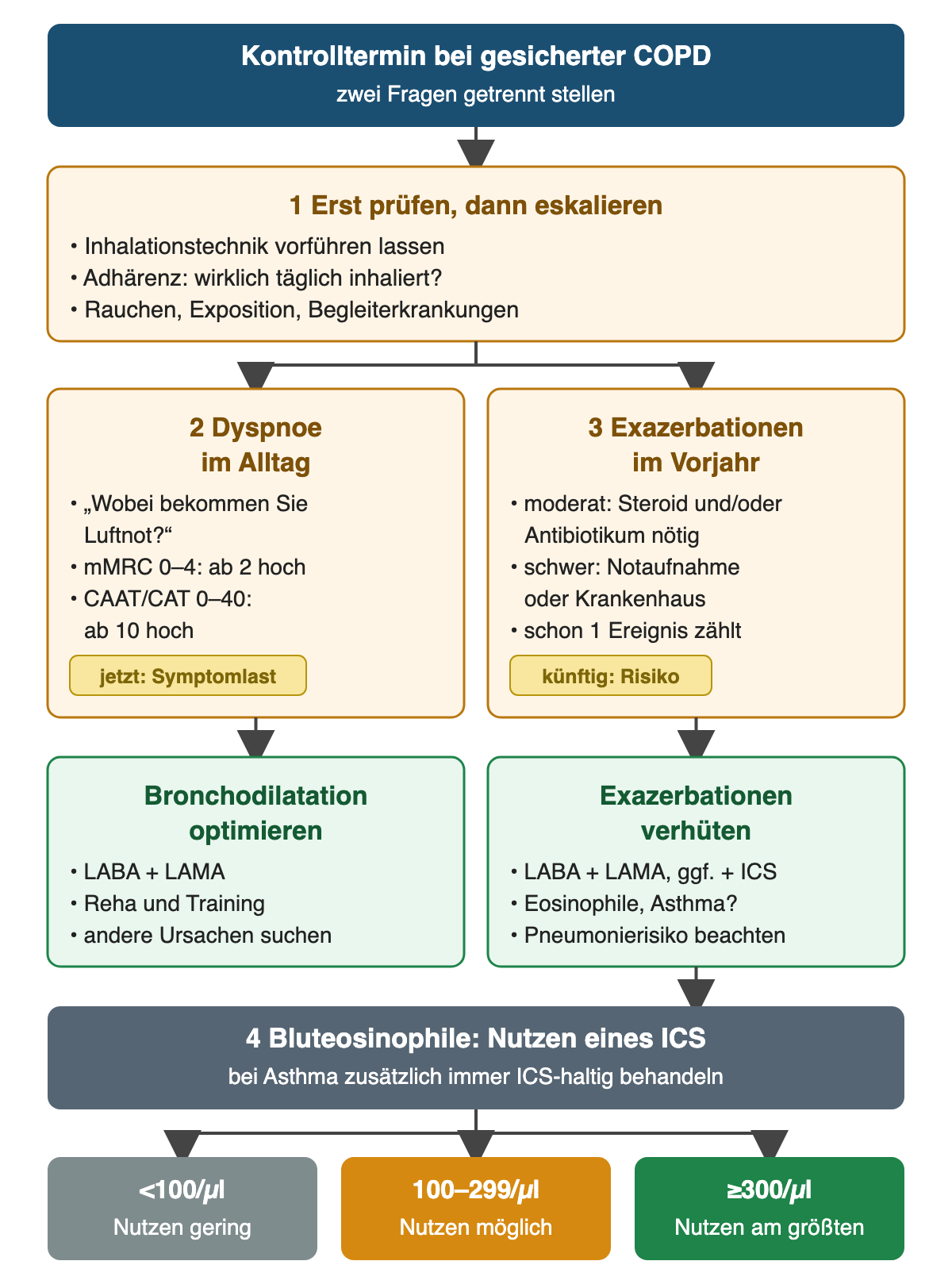 Kontrolltermin bei gesicherter COPD: Zuerst Inhalationstechnik, Adhärenz, Rauchen, Exposition und Begleiterkrankungen prüfen. Dann zwei getrennte Fragen: Dyspnoe im Alltag mit mMRC 0 bis 4, ab 2 hoch, und CAAT/CAT 0 bis 40, ab 10 hoch; Exazerbationen im Vorjahr, moderat mit Steroid oder Antibiotikum, schwer mit Notaufnahme oder Krankenhaus, schon ein Ereignis zählt. Daraus folgen Bronchodilatation optimieren beziehungsweise Exazerbationen verhüten. Die unterste Reihe ordnet Bluteosinophile ein: unter 100 pro Mikroliter Nutzen gering, 100 bis 299 möglich, ab 300 am größten.