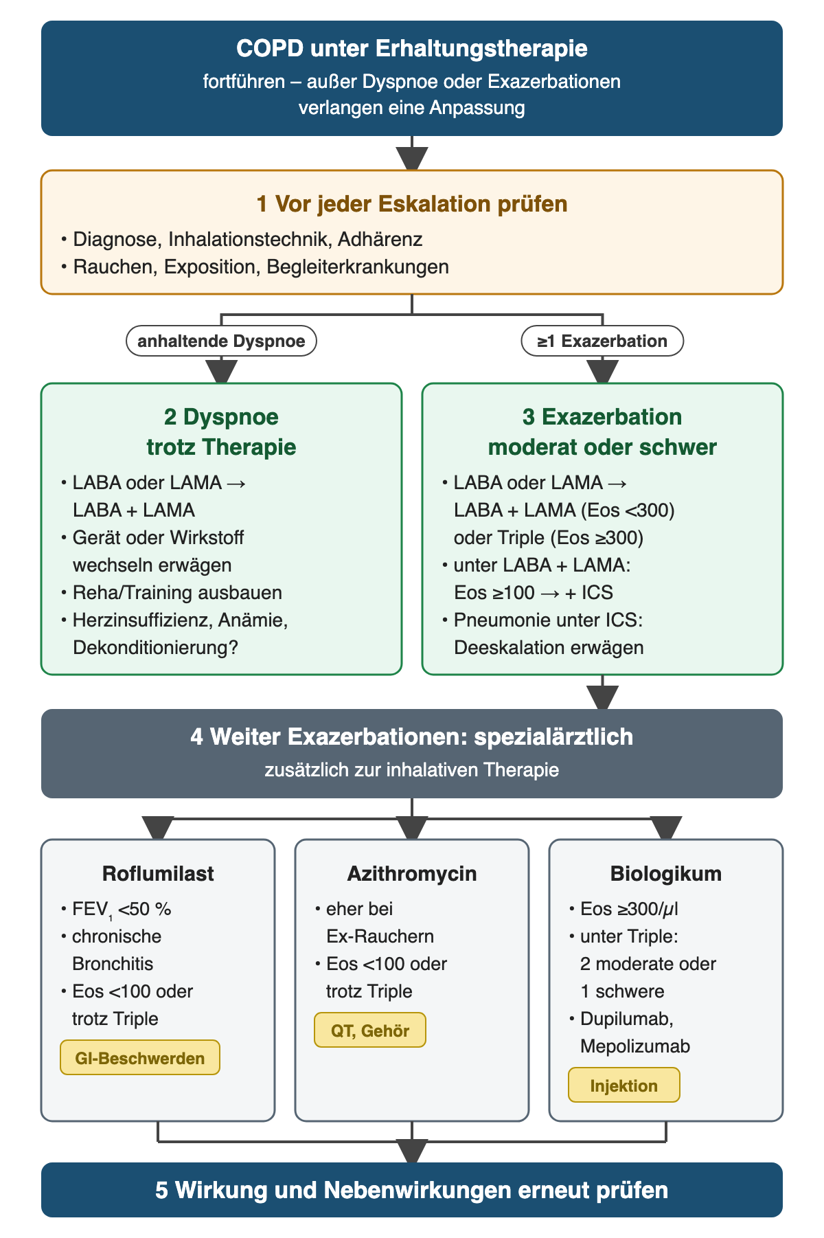 COPD unter Erhaltungstherapie: fortführen, außer Dyspnoe oder Exazerbationen verlangen eine Anpassung. Zuerst Diagnose, Inhalationstechnik, Adhärenz, Rauchen, Exposition und Begleiterkrankungen prüfen. Linker Ast anhaltende Dyspnoe: von LABA oder LAMA auf LABA plus LAMA, Gerät oder Wirkstoff wechseln, Training ausbauen, Herzinsuffizienz, Anämie und Dekonditionierung suchen. Rechter Ast Exazerbation: LABA plus LAMA bei Eosinophilen unter 300 oder Triple ab 300; unter LABA plus LAMA ab 100 Eosinophilen ICS ergänzen; bei Pneumonie Deeskalation erwägen. Bei weiteren Exazerbationen spezialärztlich Roflumilast (FEV1 unter 50 Prozent, chronische Bronchitis), Azithromycin (eher Ex-Raucher) oder ein Biologikum (Eosinophile ab 300, unter Triple zwei moderate oder eine schwere Exazerbation; Dupilumab, Mepolizumab). Abschließend Wirkung und Nebenwirkungen erneut prüfen.