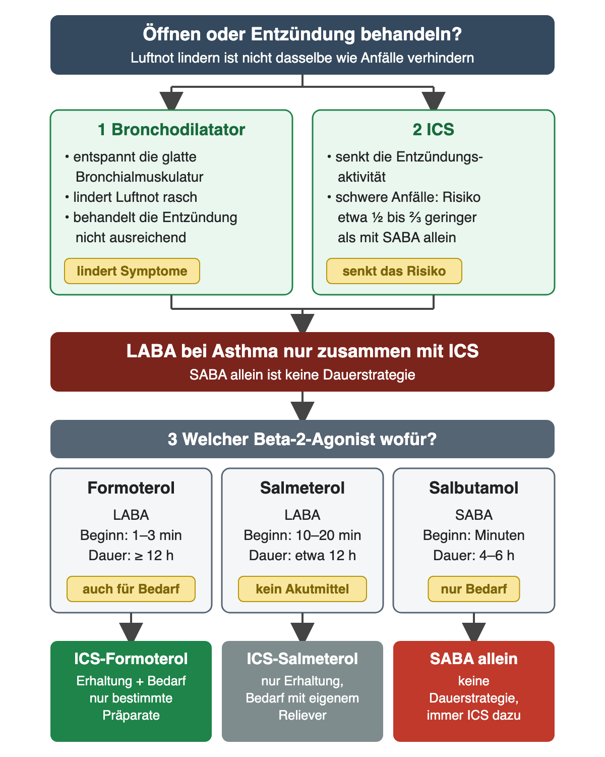 Oben stehen nebeneinander der Bronchodilatator, der die Bronchialmuskulatur entspannt und Luftnot rasch lindert, und das ICS, das die Entzündung senkt und das Risiko schwerer Anfälle gegenüber SABA allein etwa um die Hälfte bis zwei Drittel verringert. Ein roter Balken hält fest: LABA bei Asthma nur zusammen mit ICS, SABA allein ist keine Dauerstrategie. Darunter drei Wirkstoffe: Formoterol, LABA, Beginn nach 1–3 Minuten, Dauer mindestens 12 Stunden; Salmeterol, LABA, Beginn nach 10–20 Minuten, Dauer etwa 12 Stunden; Salbutamol, SABA, Beginn nach Minuten, Dauer 4–6 Stunden. Unten die Folgen: ICS-Formoterol für Erhaltung und Bedarf, nur bestimmte Präparate; ICS-Salmeterol nur zur Erhaltung mit eigenem Reliever; SABA allein ist keine Dauerstrategie.