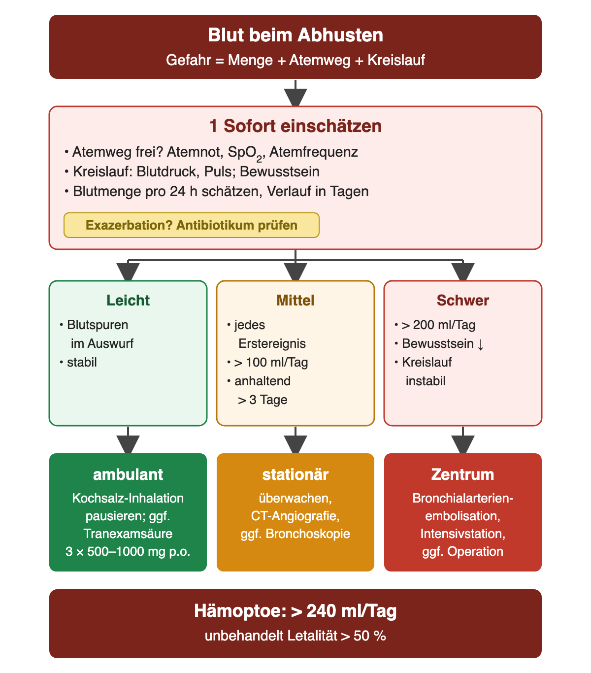 Ablauf von oben nach unten. Kopfzeile: Blut beim Abhusten; Gefahr ergibt sich aus Menge, Atemweg und Kreislauf. Schritt 1, sofort einschätzen: Atemweg, Atemnot, Sauerstoffsättigung und Atemfrequenz, Blutdruck, Puls und Bewusstsein, Blutmenge pro 24 Stunden und Verlauf; dazu prüfen, ob eine Exazerbation mit Antibiotikabedarf vorliegt. Drei Spalten: leicht sind Blutspuren im Auswurf bei stabilem Zustand; mittel sind jedes Erstereignis, mehr als 100 ml pro Tag oder eine Blutung über mehr als 3 Tage; schwer sind mehr als 200 ml pro Tag, Bewusstseinsstörung oder instabiler Kreislauf. Ergebniszeile: leicht ambulant, Kochsalz-Inhalation pausieren, gegebenenfalls Tranexamsäure 3-mal 500 bis 1000 mg oral; mittel stationär mit Überwachung, CT-Angiografie und gegebenenfalls Bronchoskopie; schwer Zentrum mit Bronchialarterienembolisation, Intensivstation und gegebenenfalls Operation. Unten: Hämoptoe bei mehr als 240 ml pro Tag, unbehandelt Letalität über 50 Prozent.